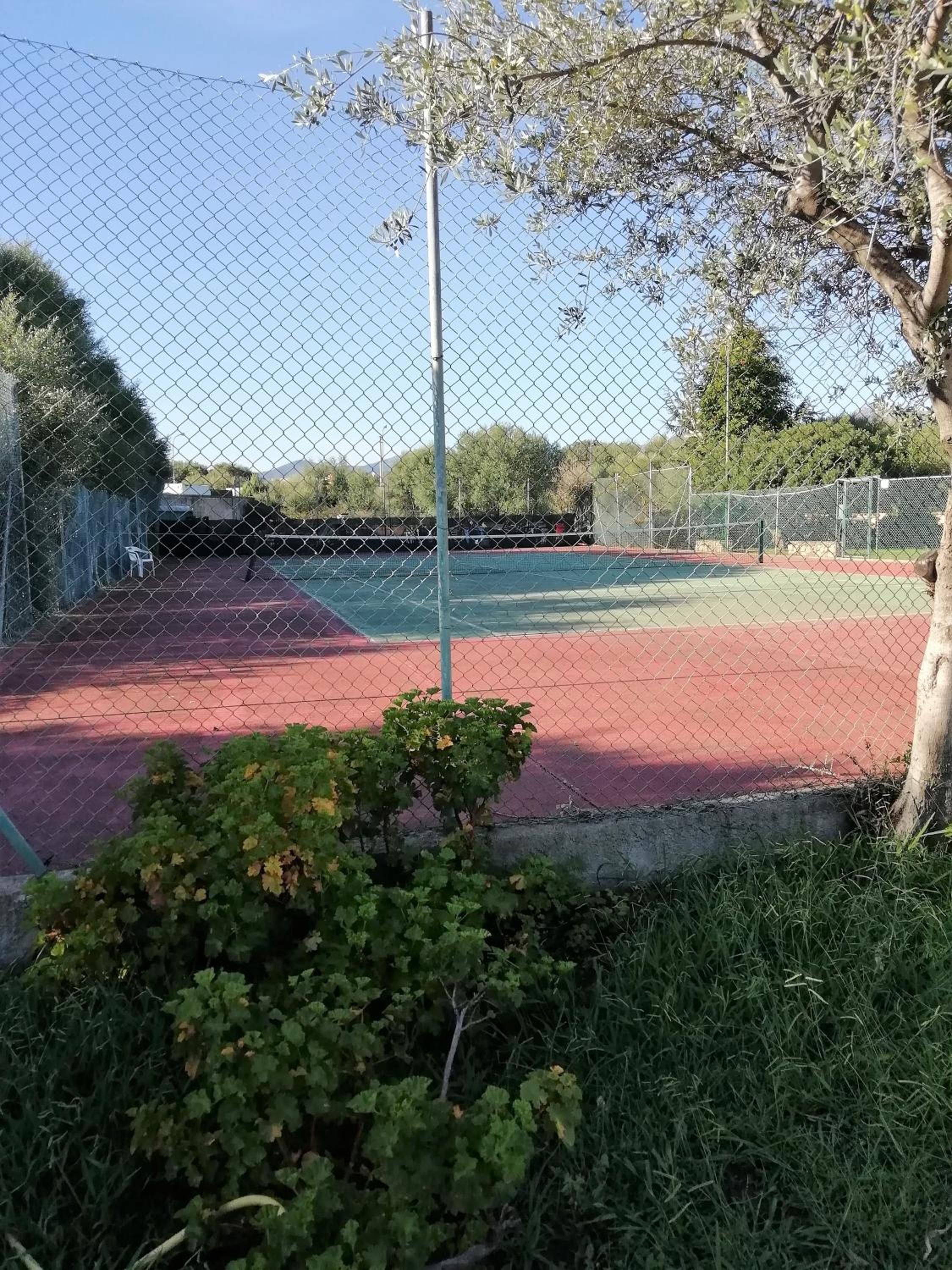 Photo 8