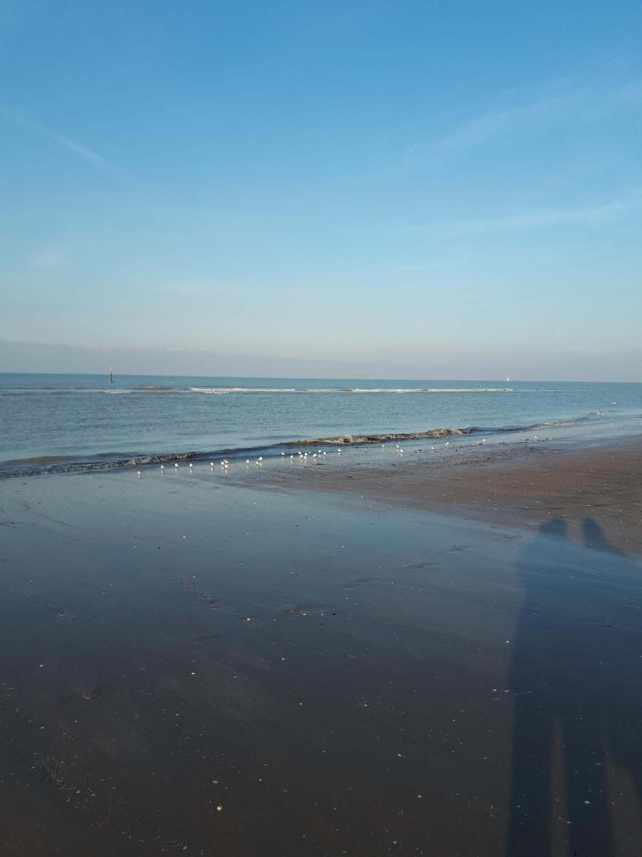 Shamrock Oostduinkerke view 4
