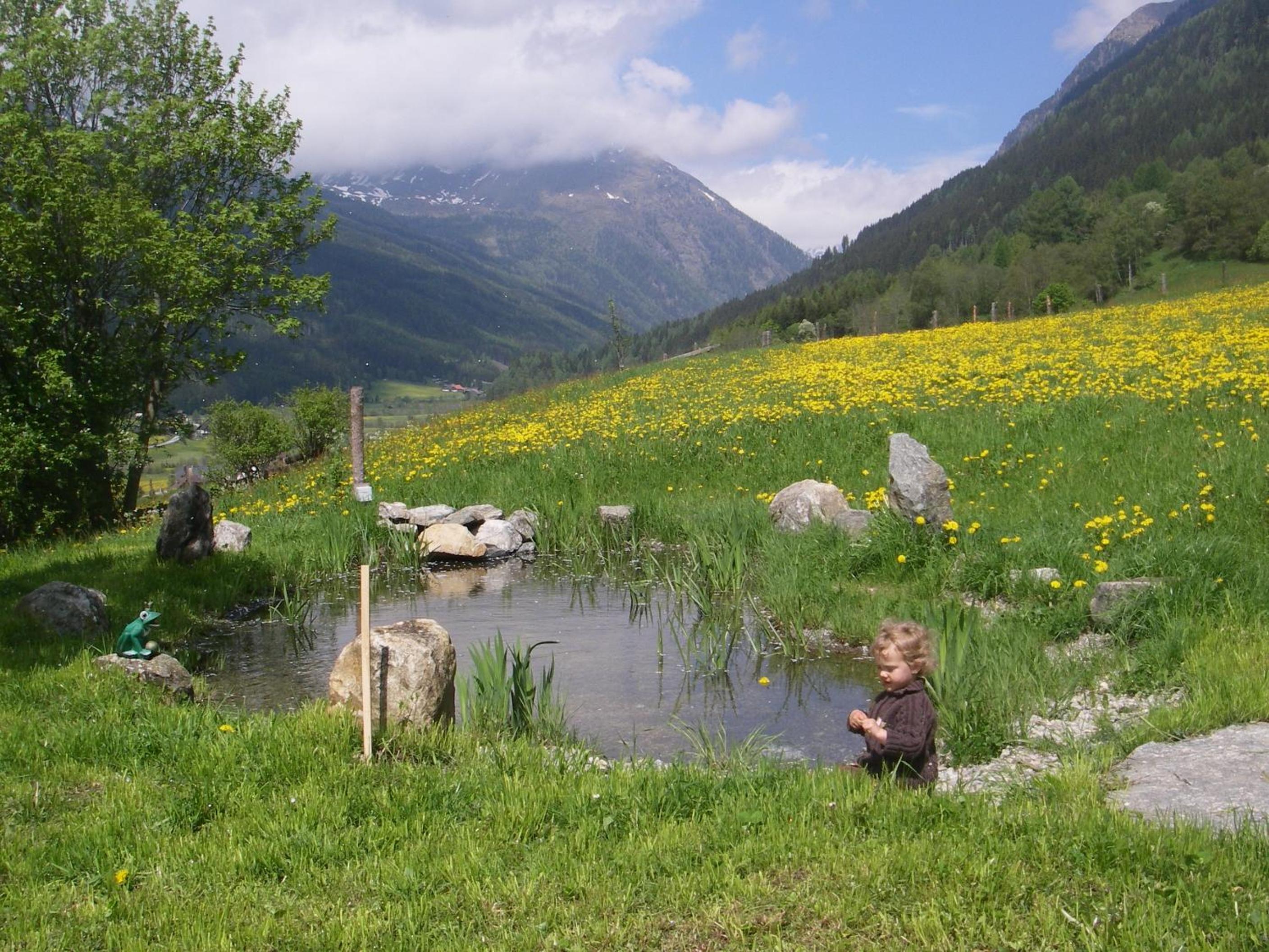 Dorfergut