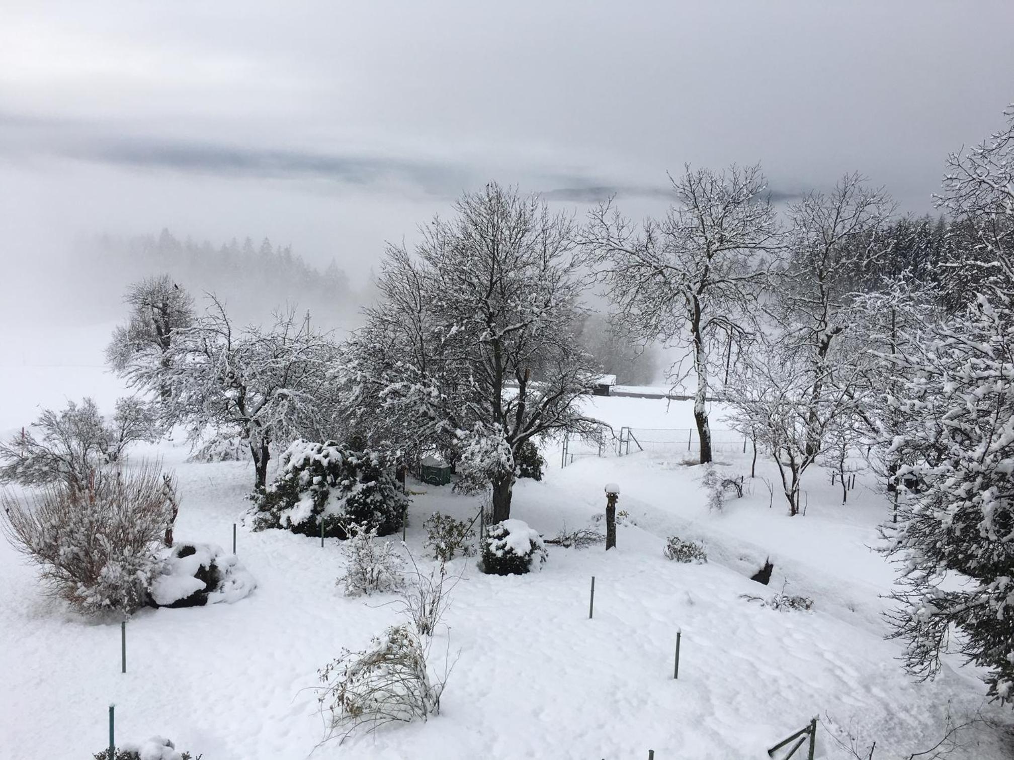 Haus Kleiner Seeblick