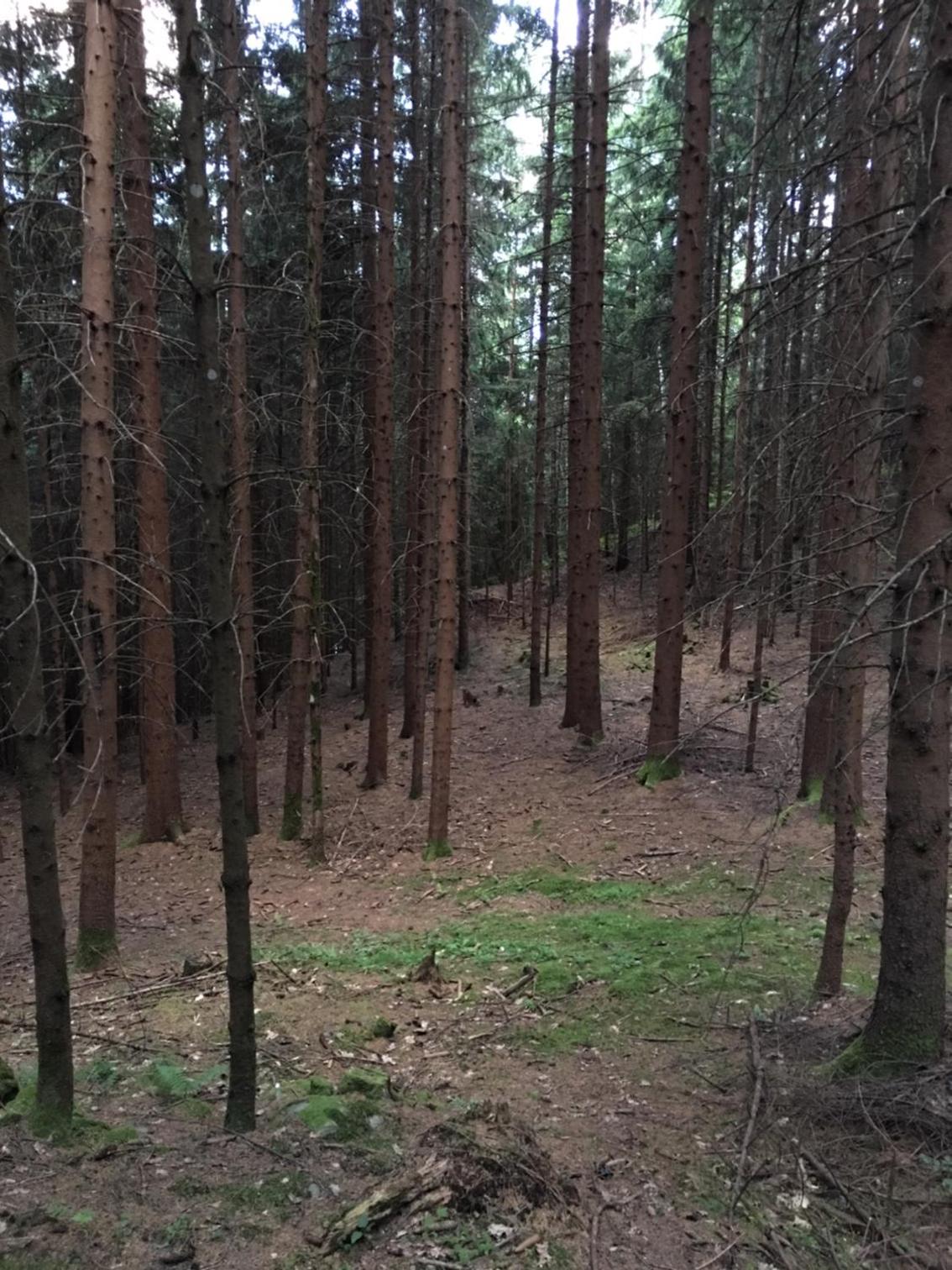 Haus Kleiner Seeblick