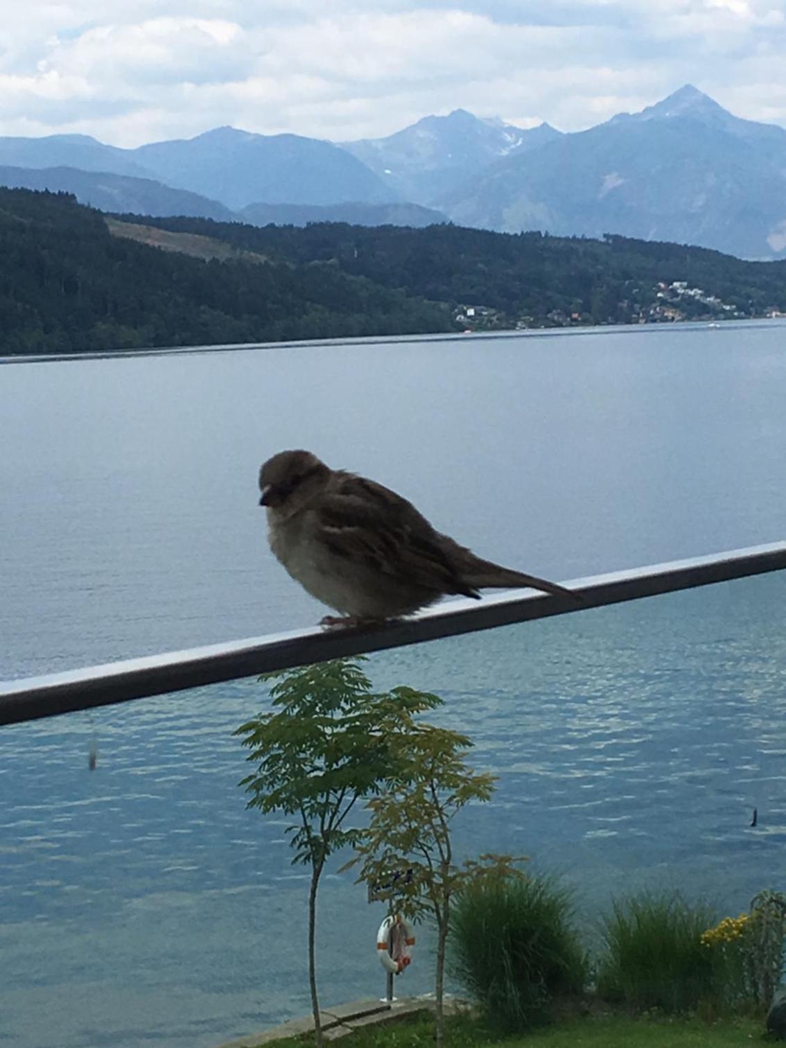Haus Kleiner Seeblick