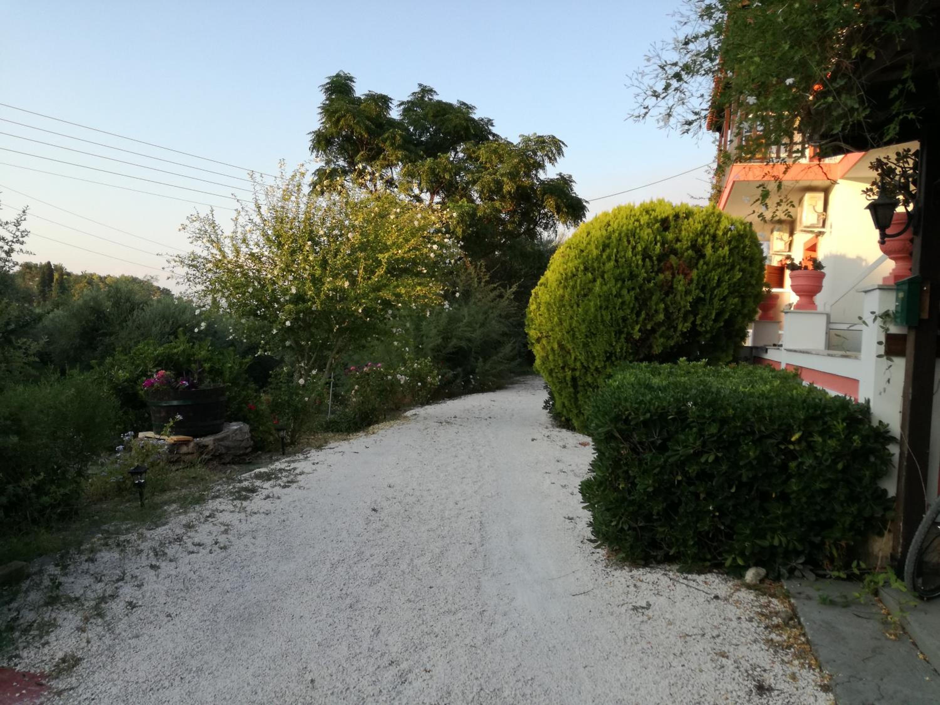 Photo 29
