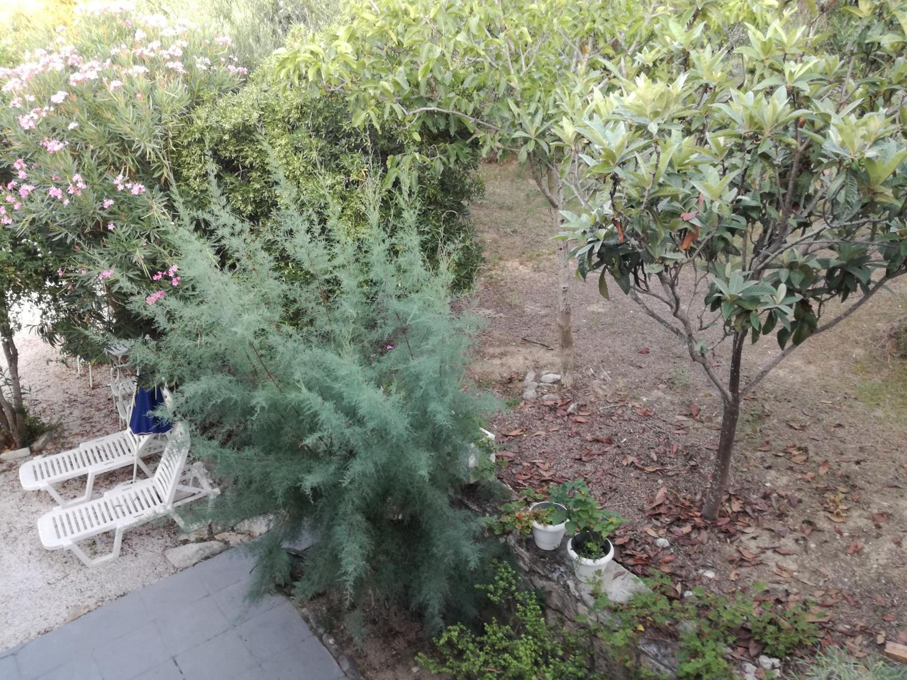 Photo 41