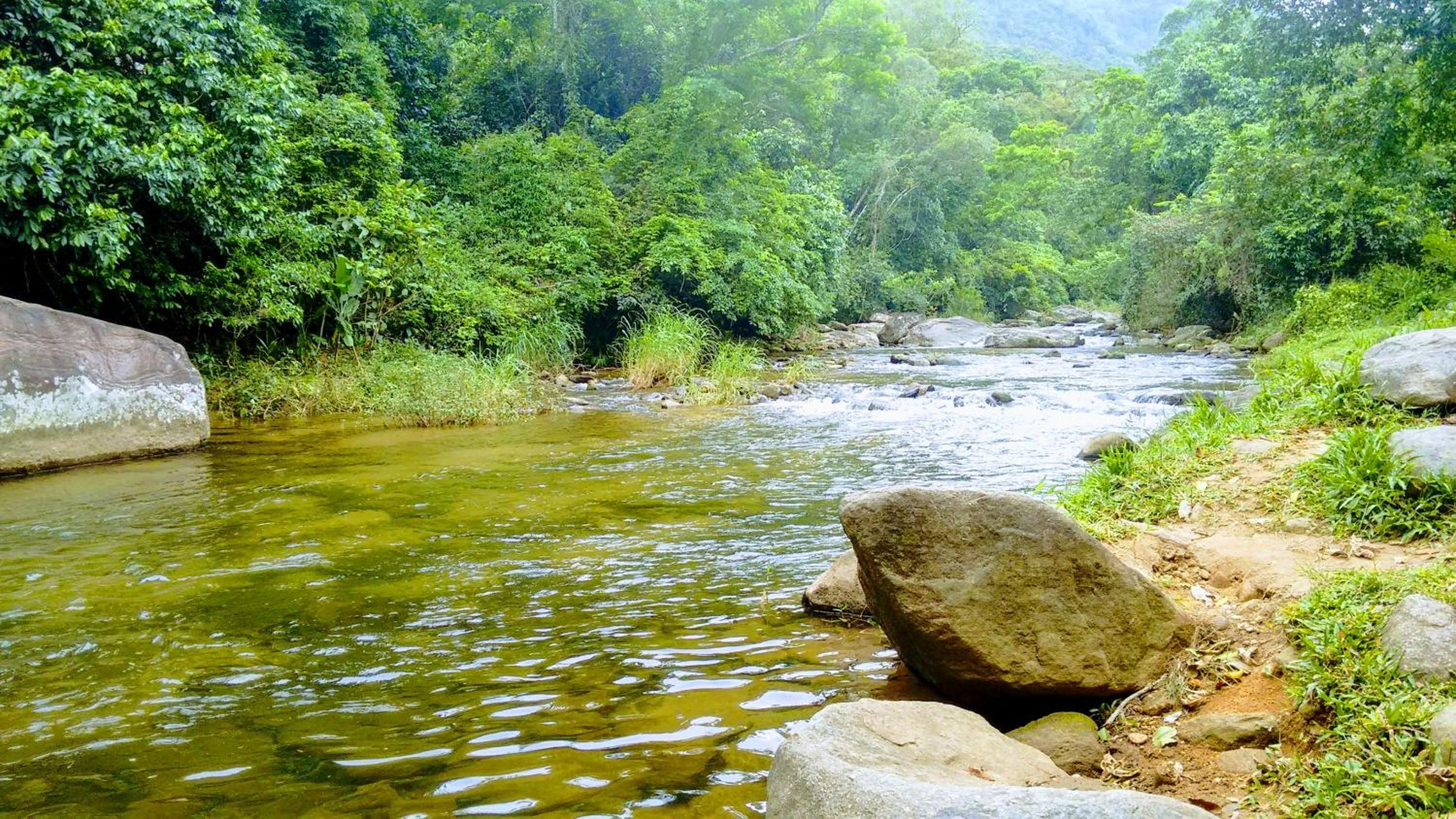 Condado Aldeia dos Reis