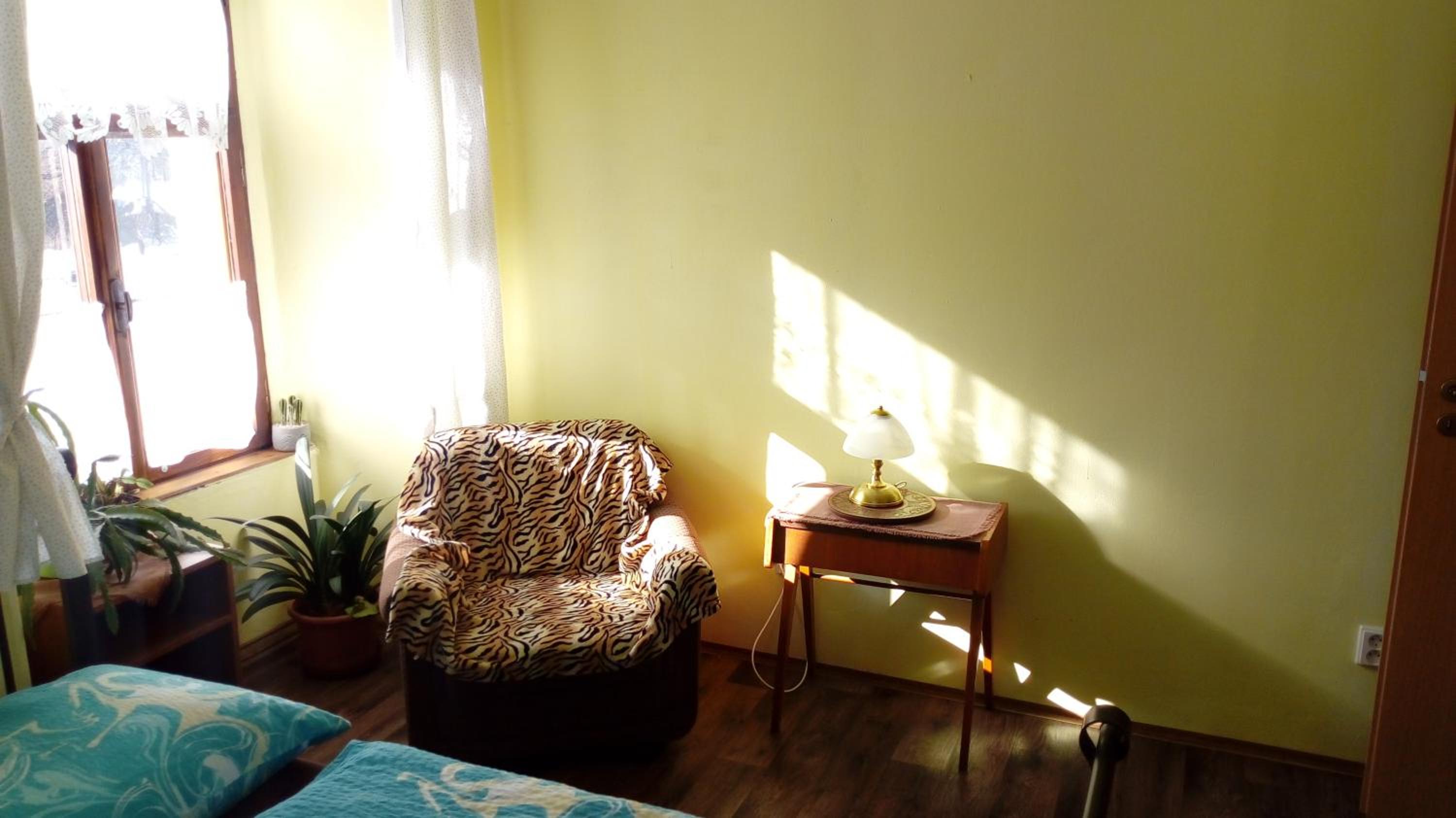 Photo 44