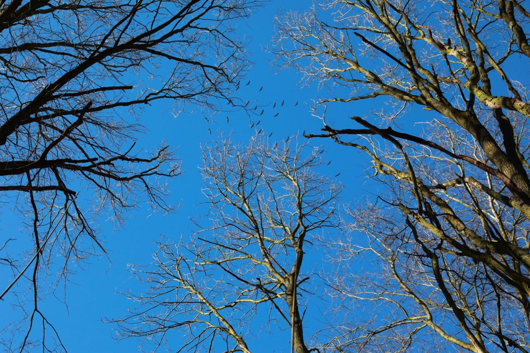 Ferienhaus Caputh