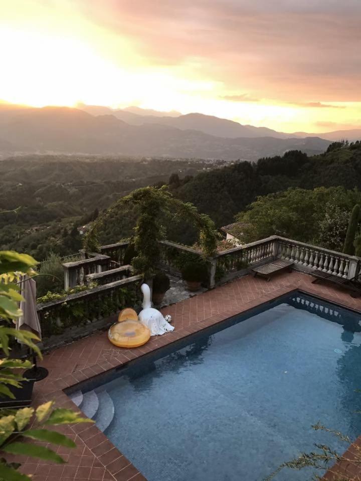 Belvedere view 5