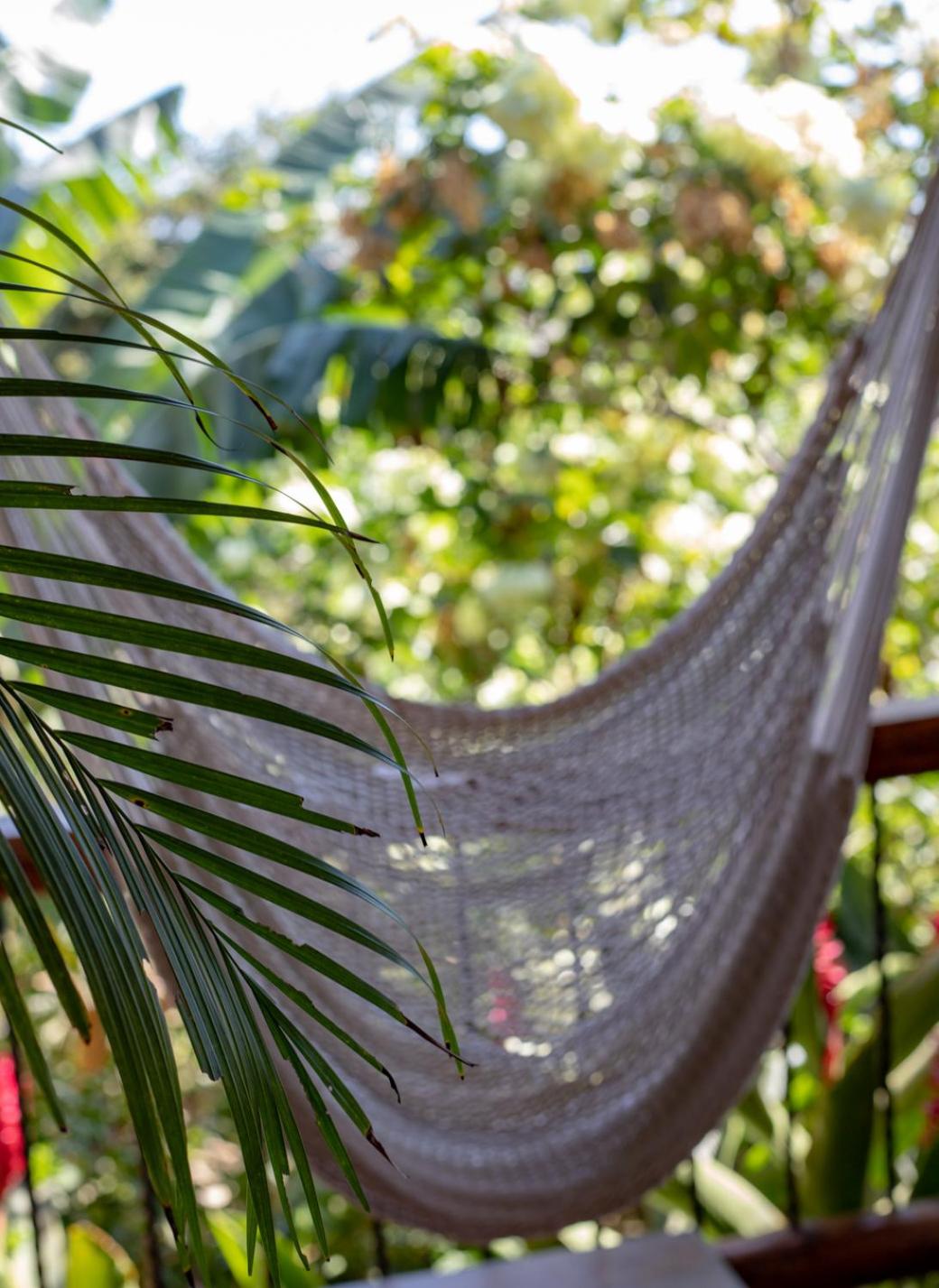 Villa Mango B&B