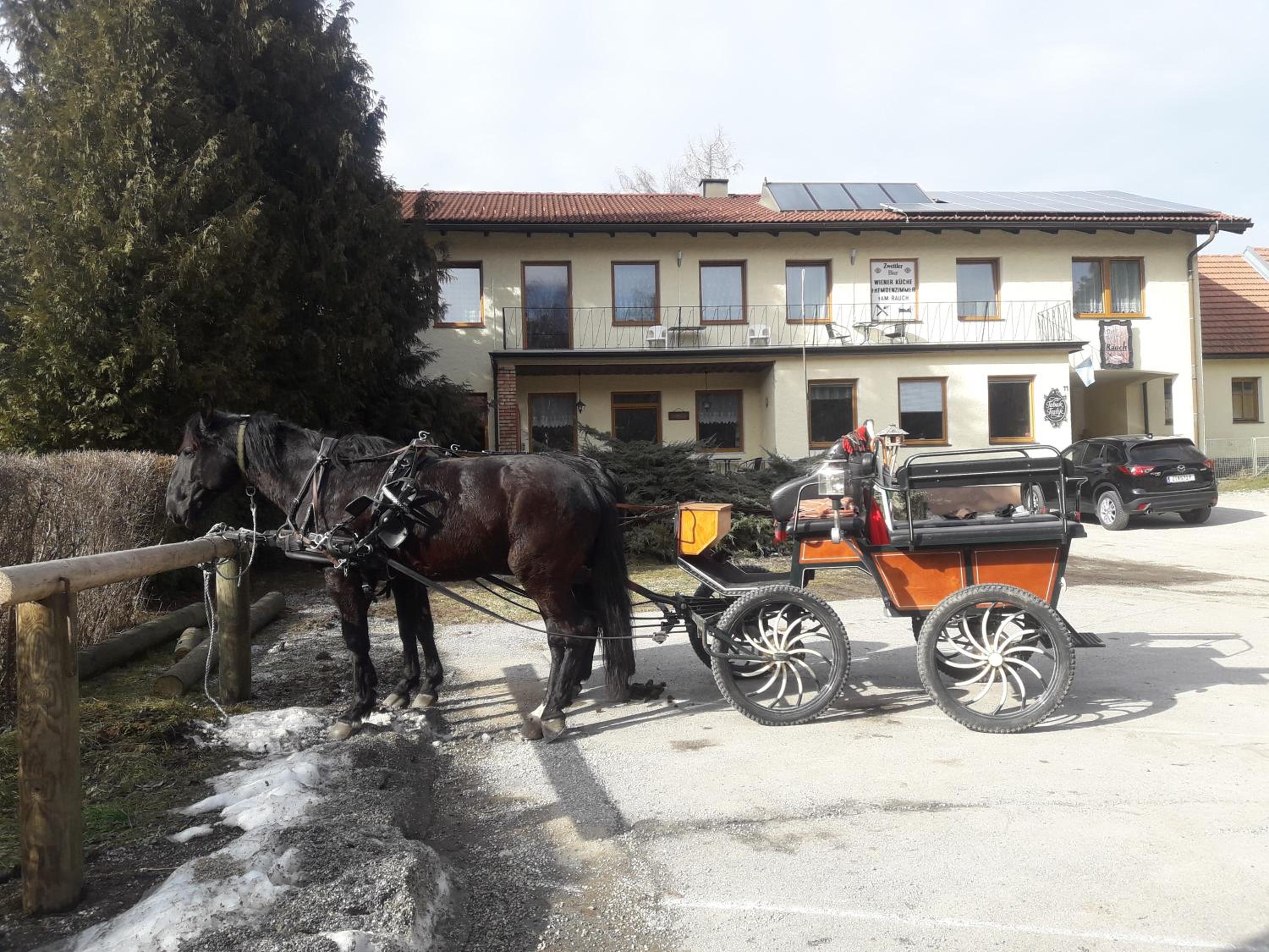 Dorfwirtshaus Rauch