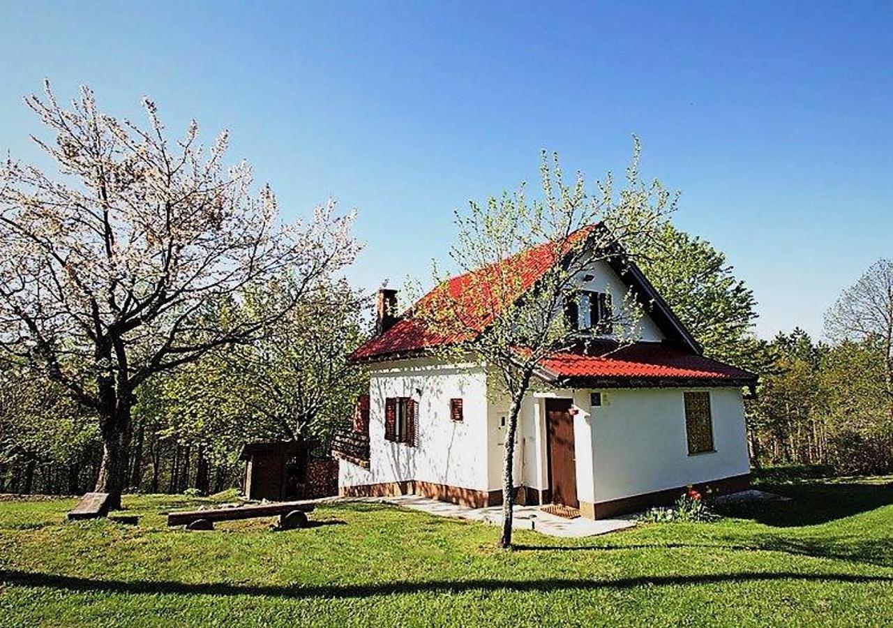 Hotel Holiday Home Coprnička Hiša - Image 1