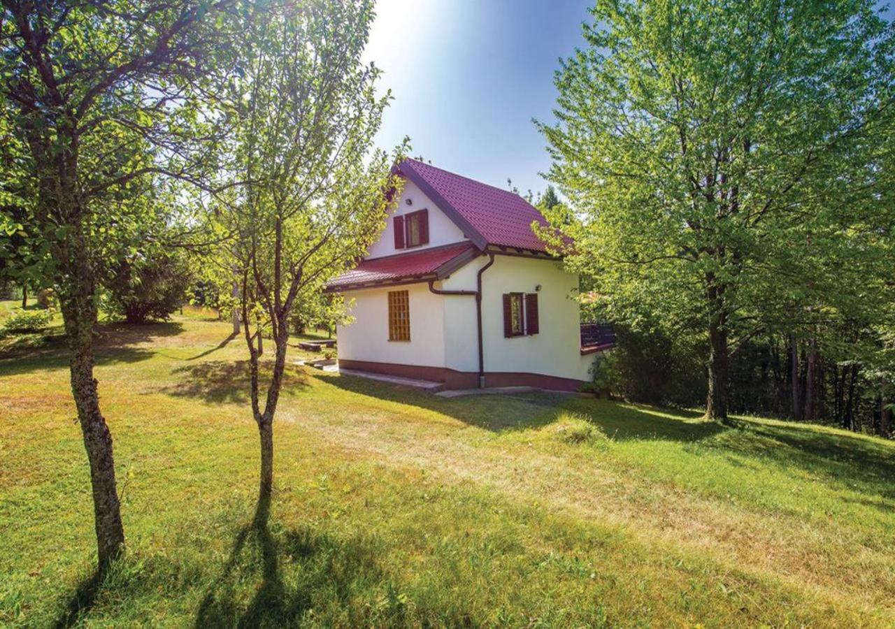 Holiday Home Coprnička Hiša view 4
