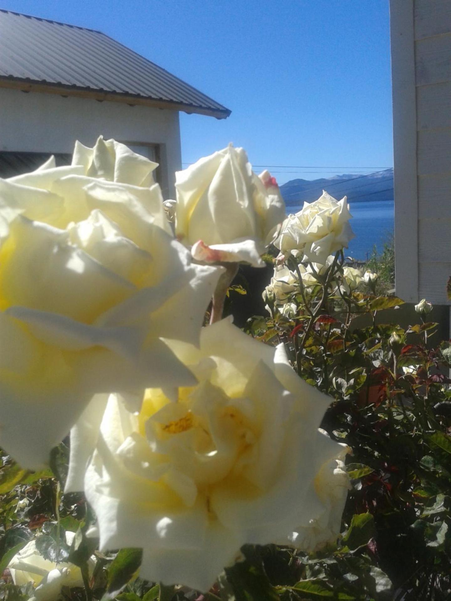 Las Agustinas DAT