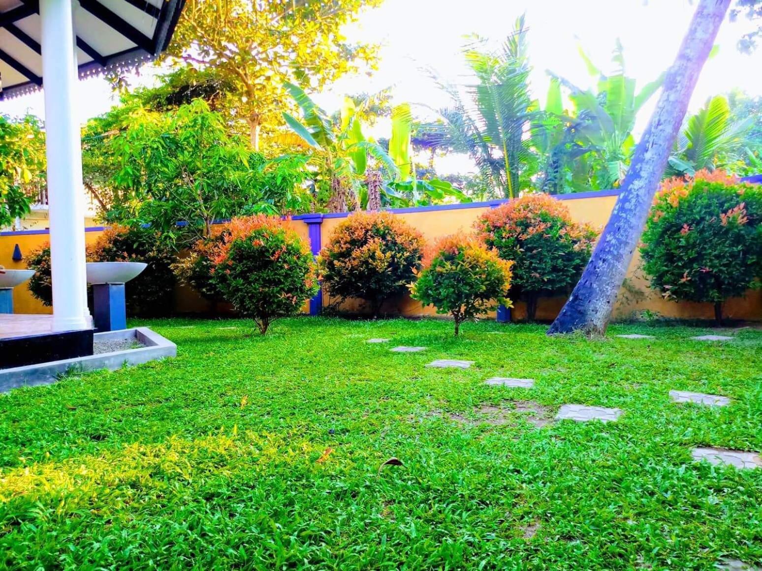 Photo 42