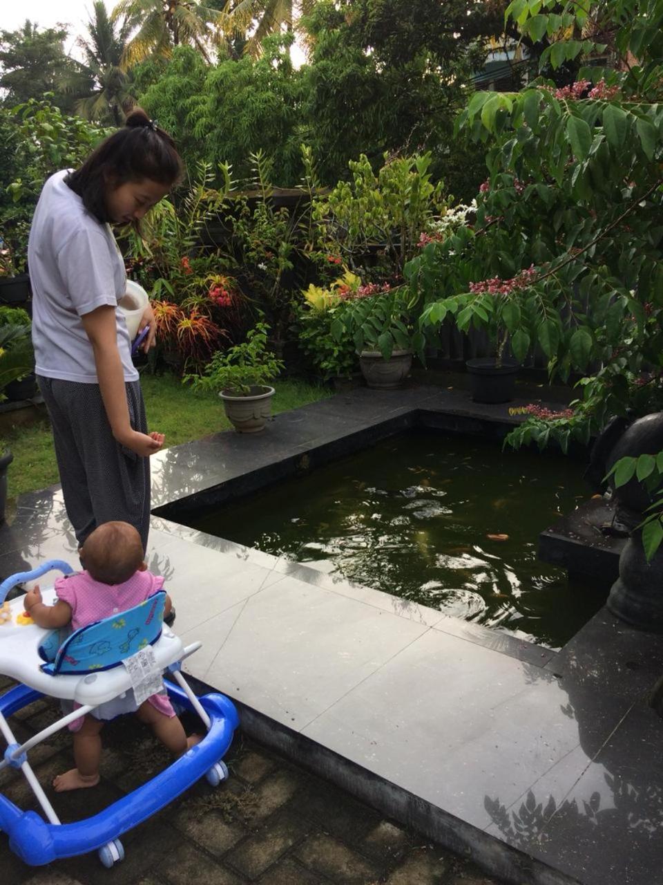 Fidigri Homestay view 5