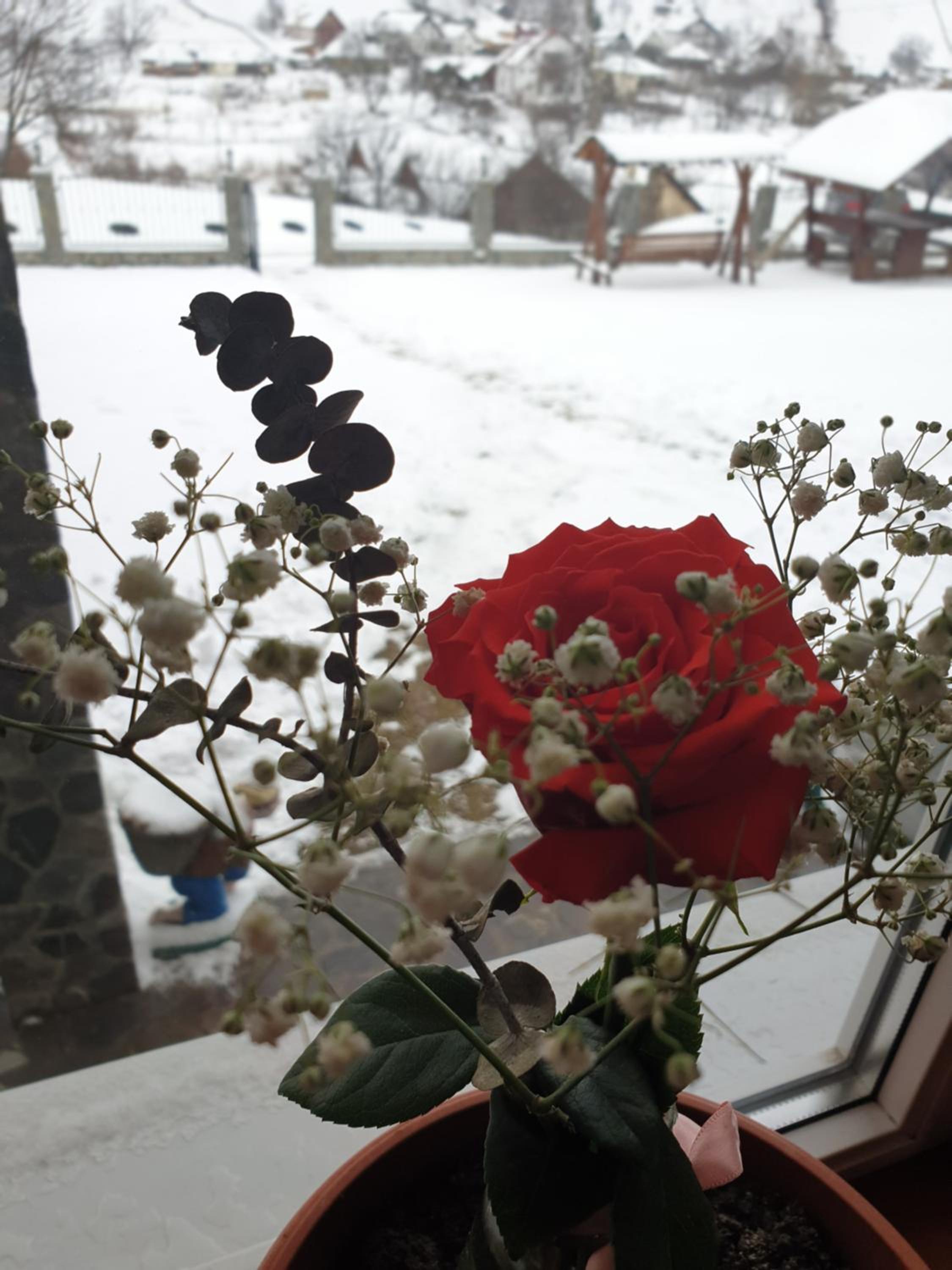 Photo 43