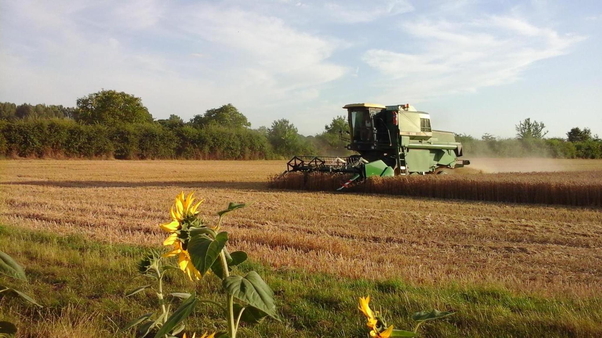 Gite à la ferme de La poterie view 2