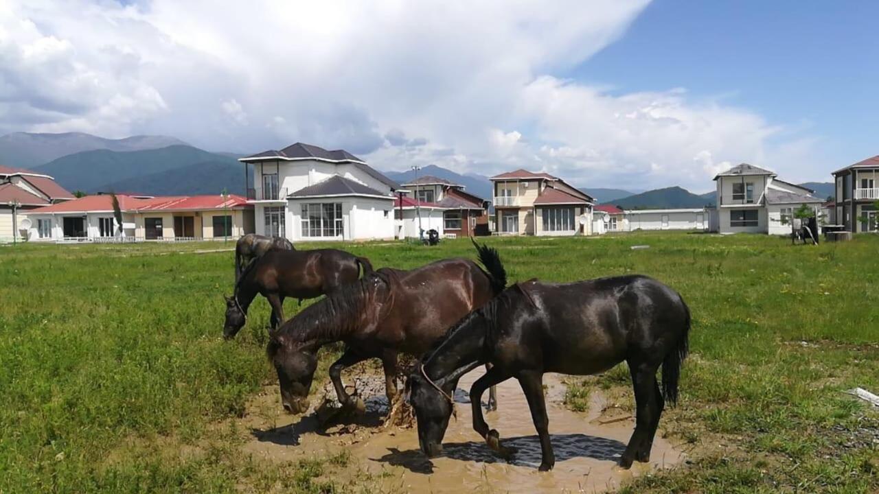 Paradise Investment Resort view 4