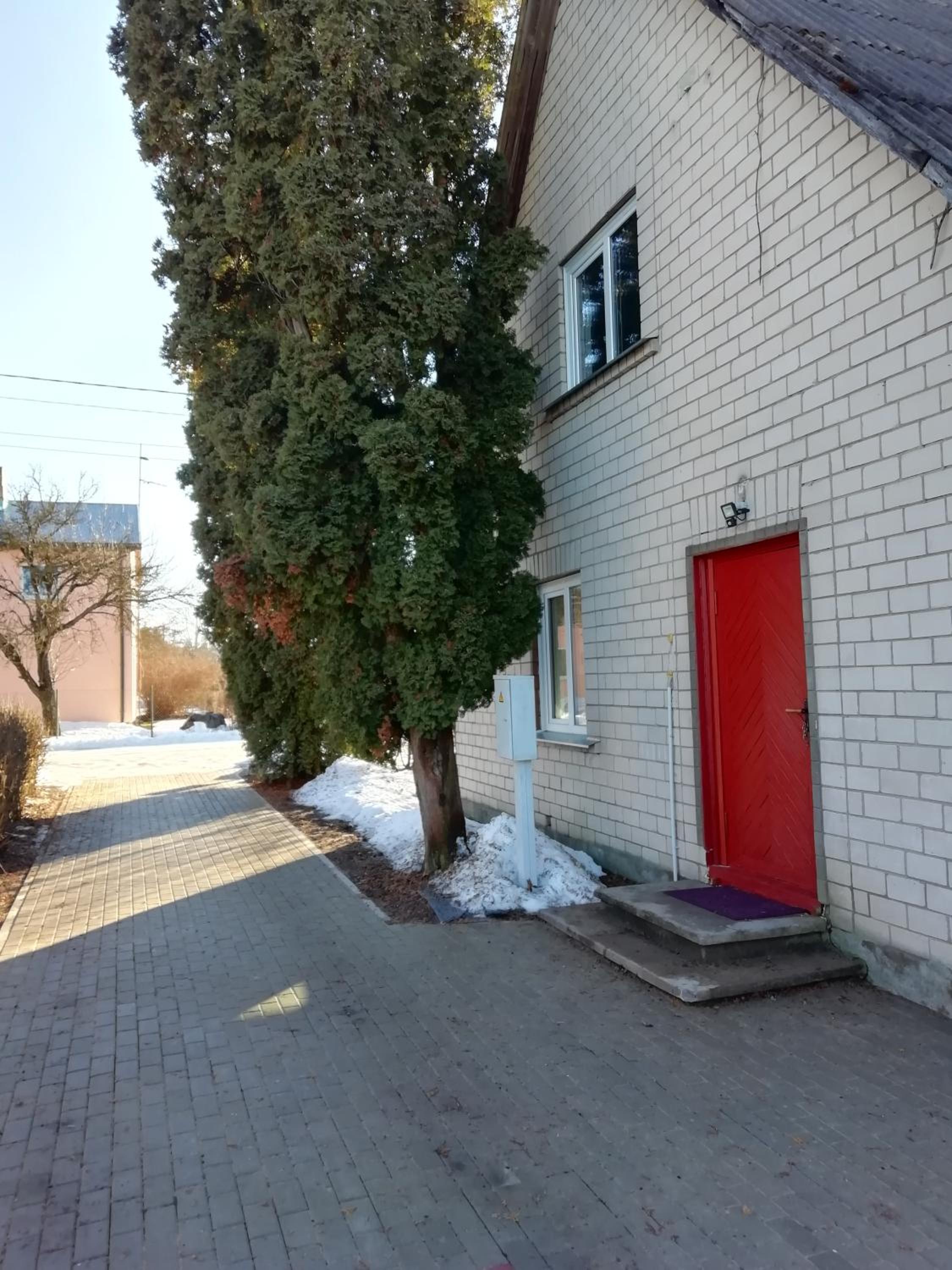 Photo 51