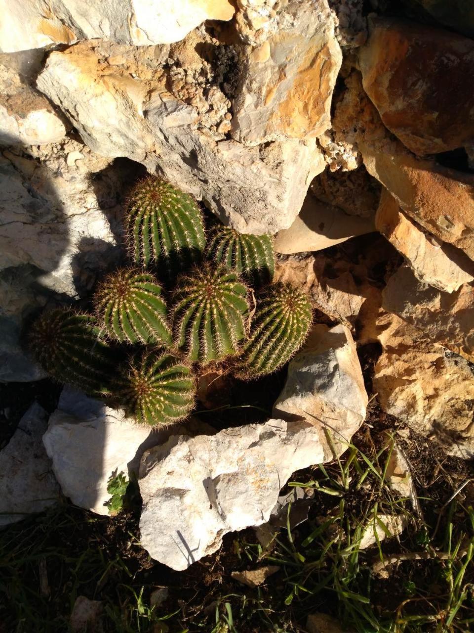 Photo 31