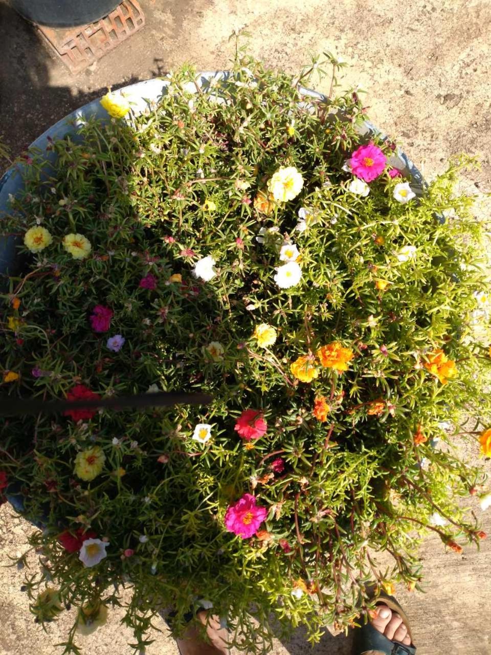 Photo 27