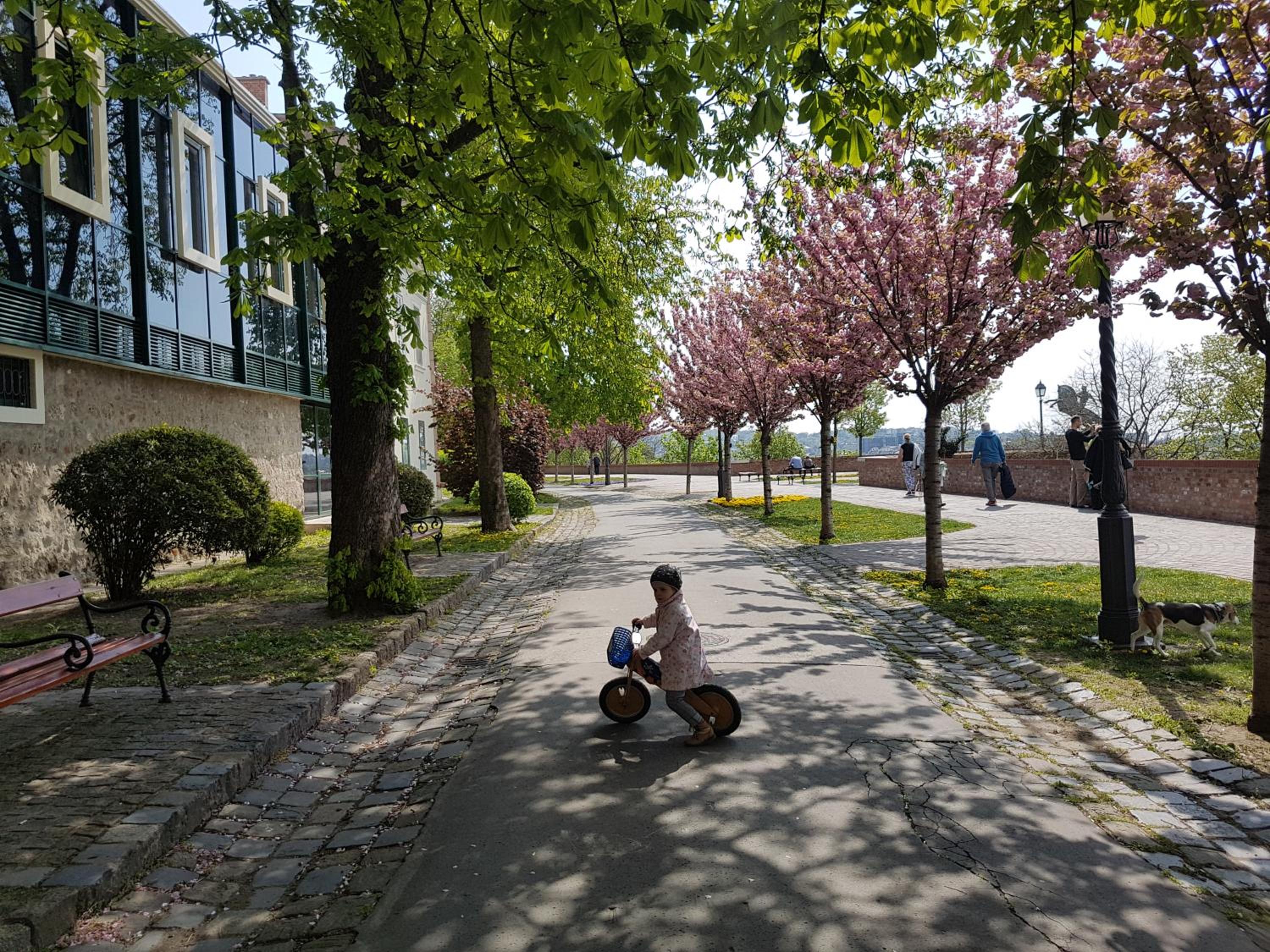 Photo 27