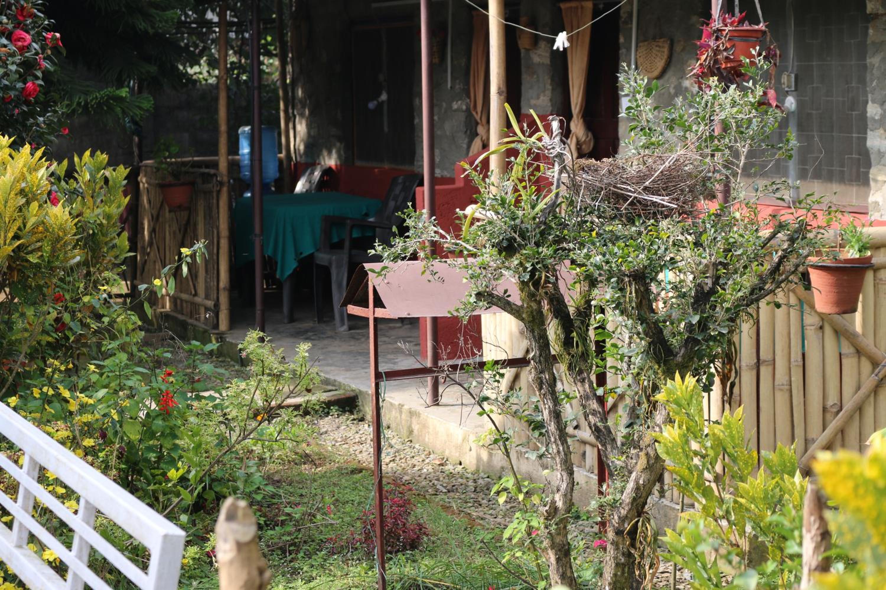 Photo 27