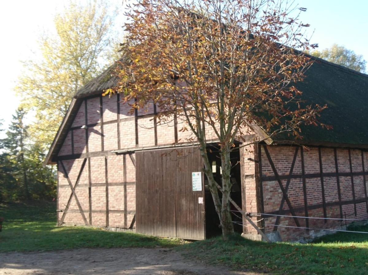 Photo 27