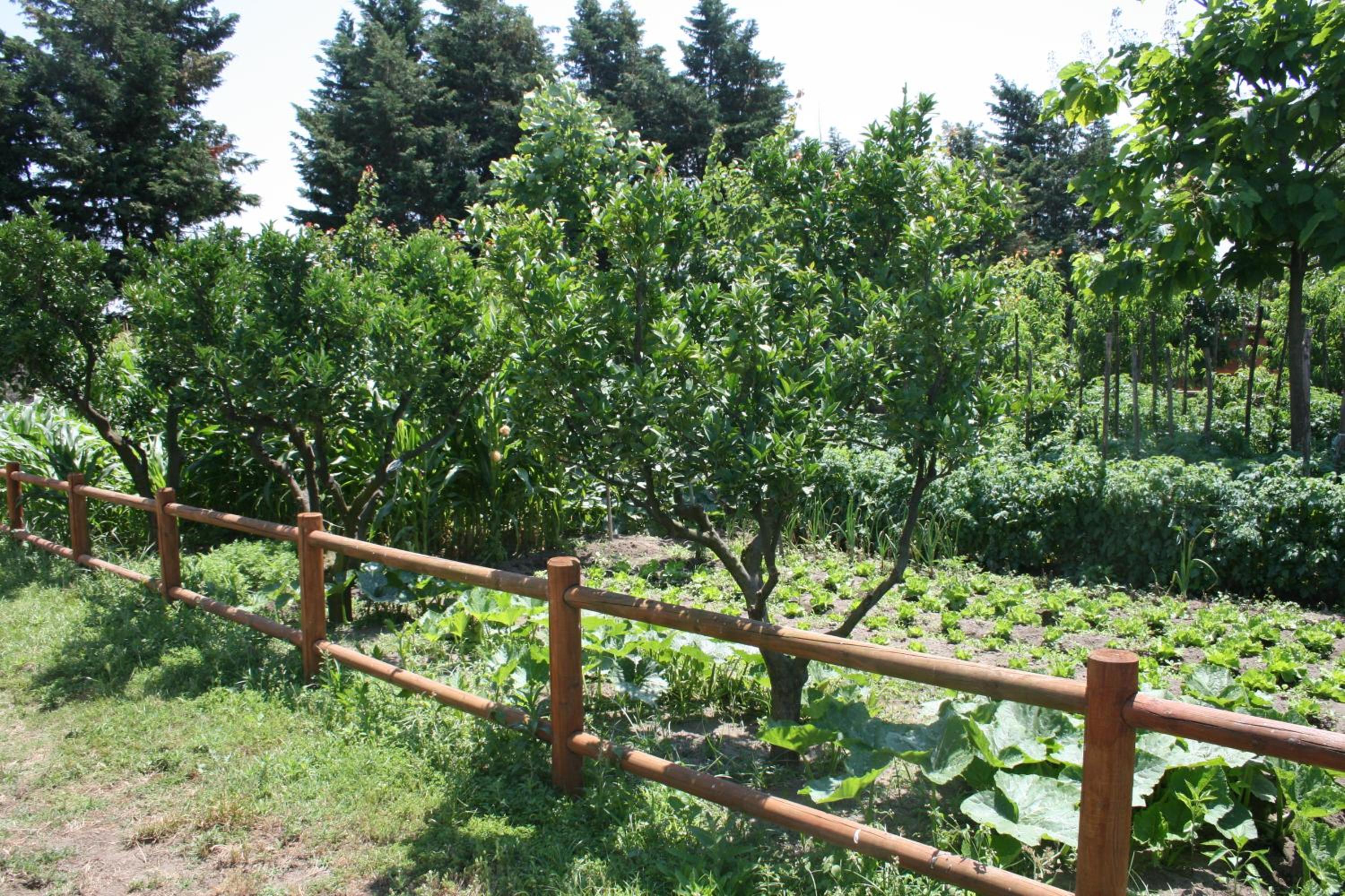 Azienda Agrituristica Vivi Natura