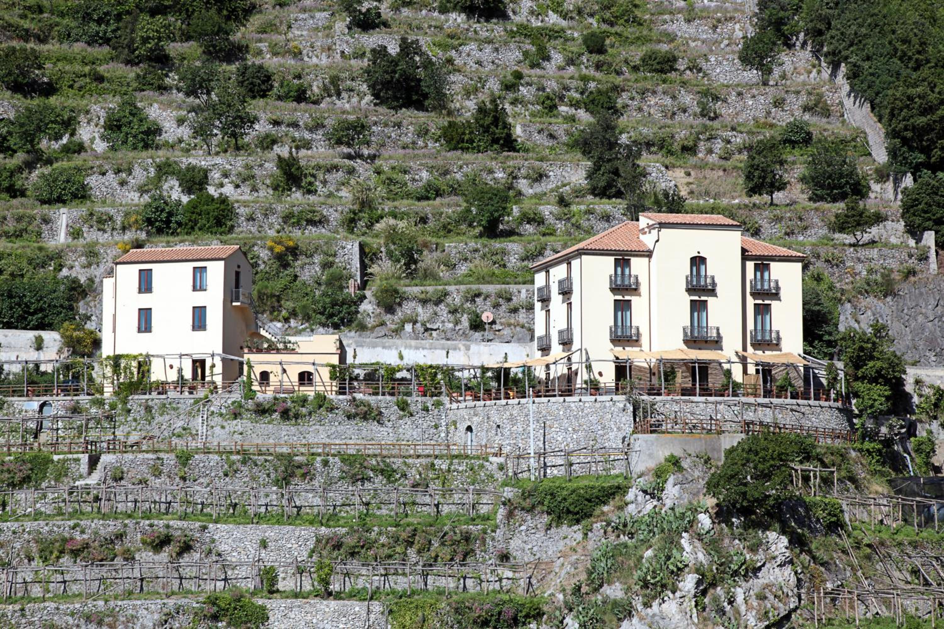 Limoneto Di Ercole photo 1