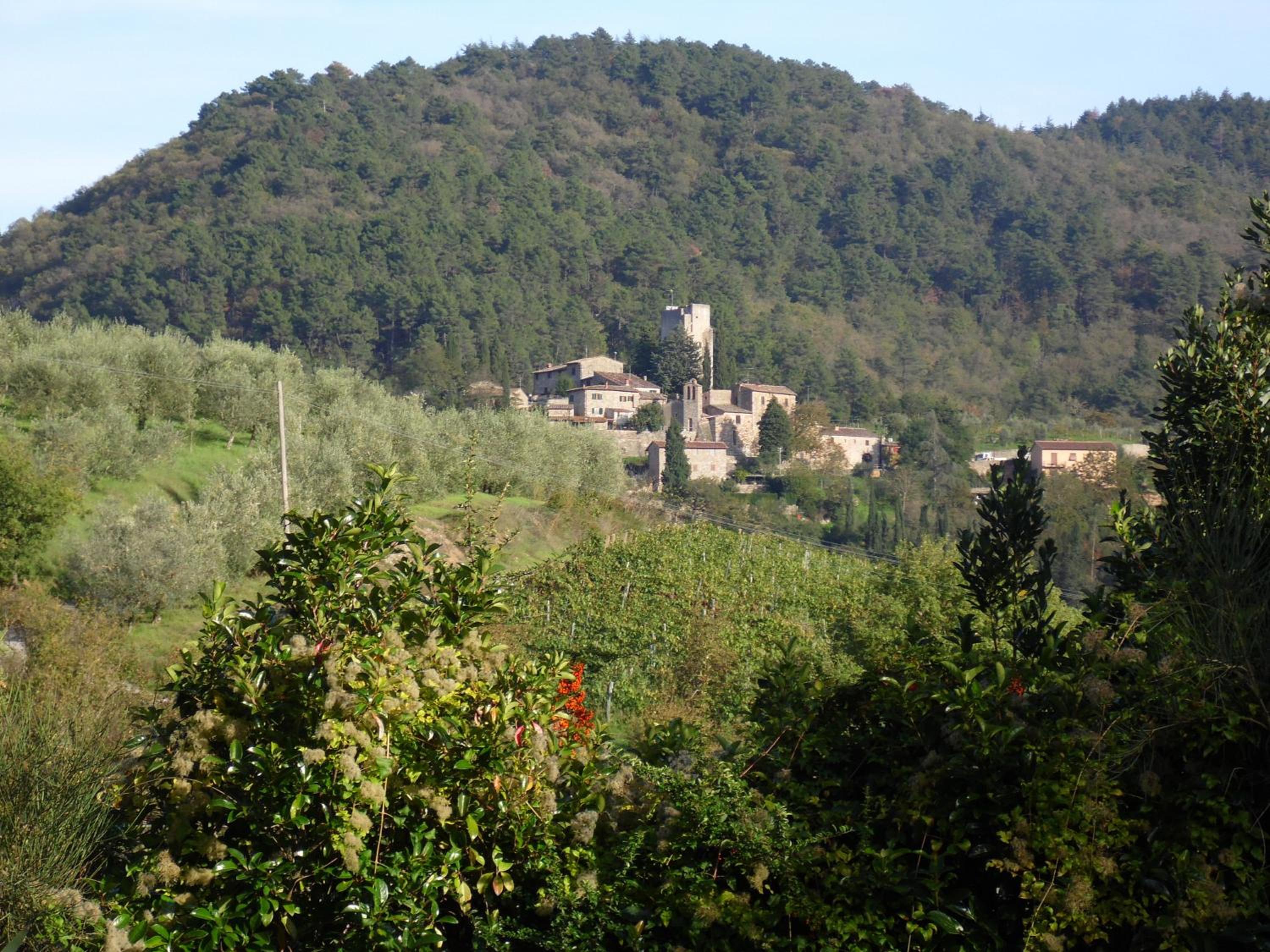 La Loggetta - Apartments view 3