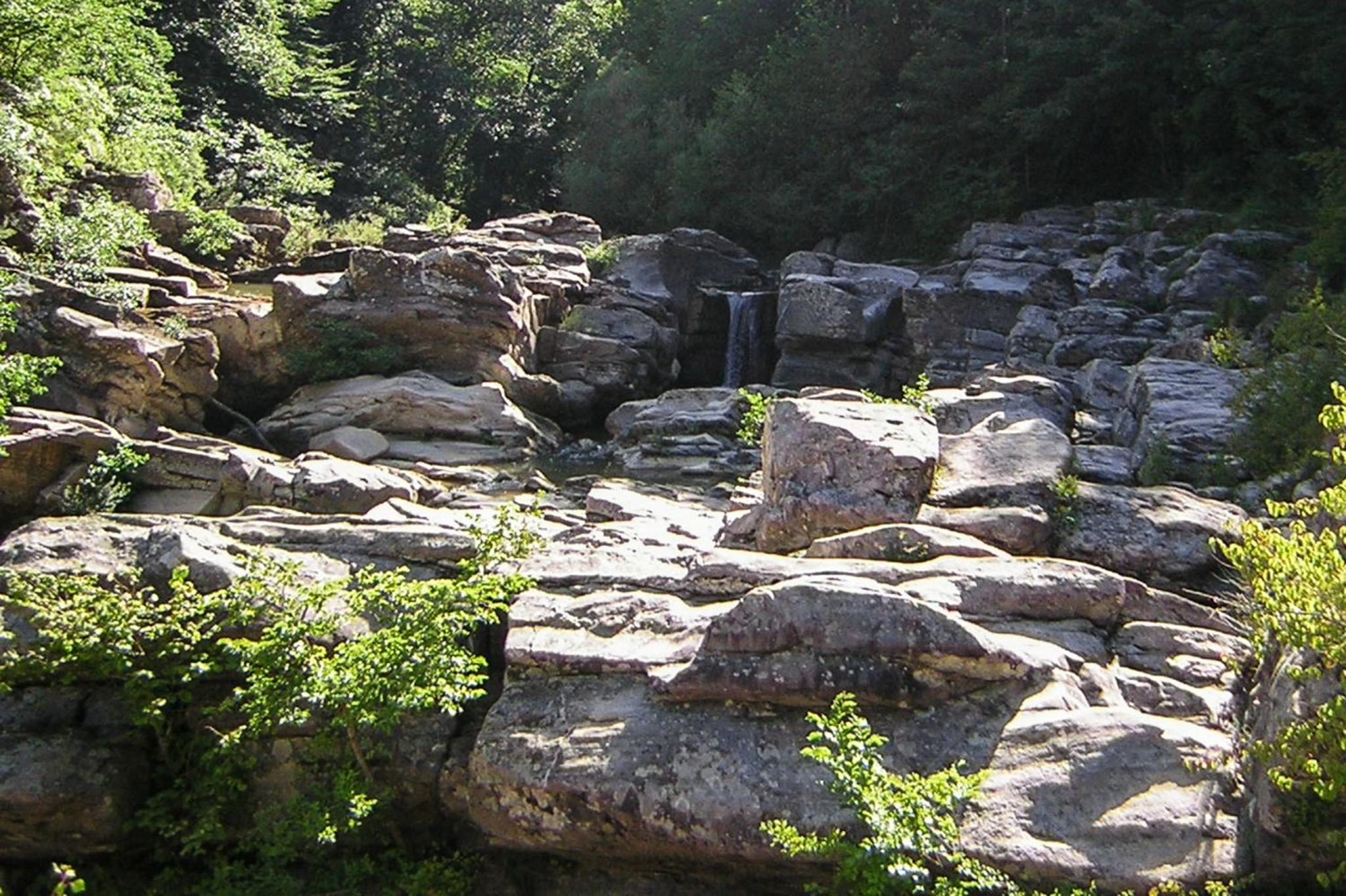 Photo 21
