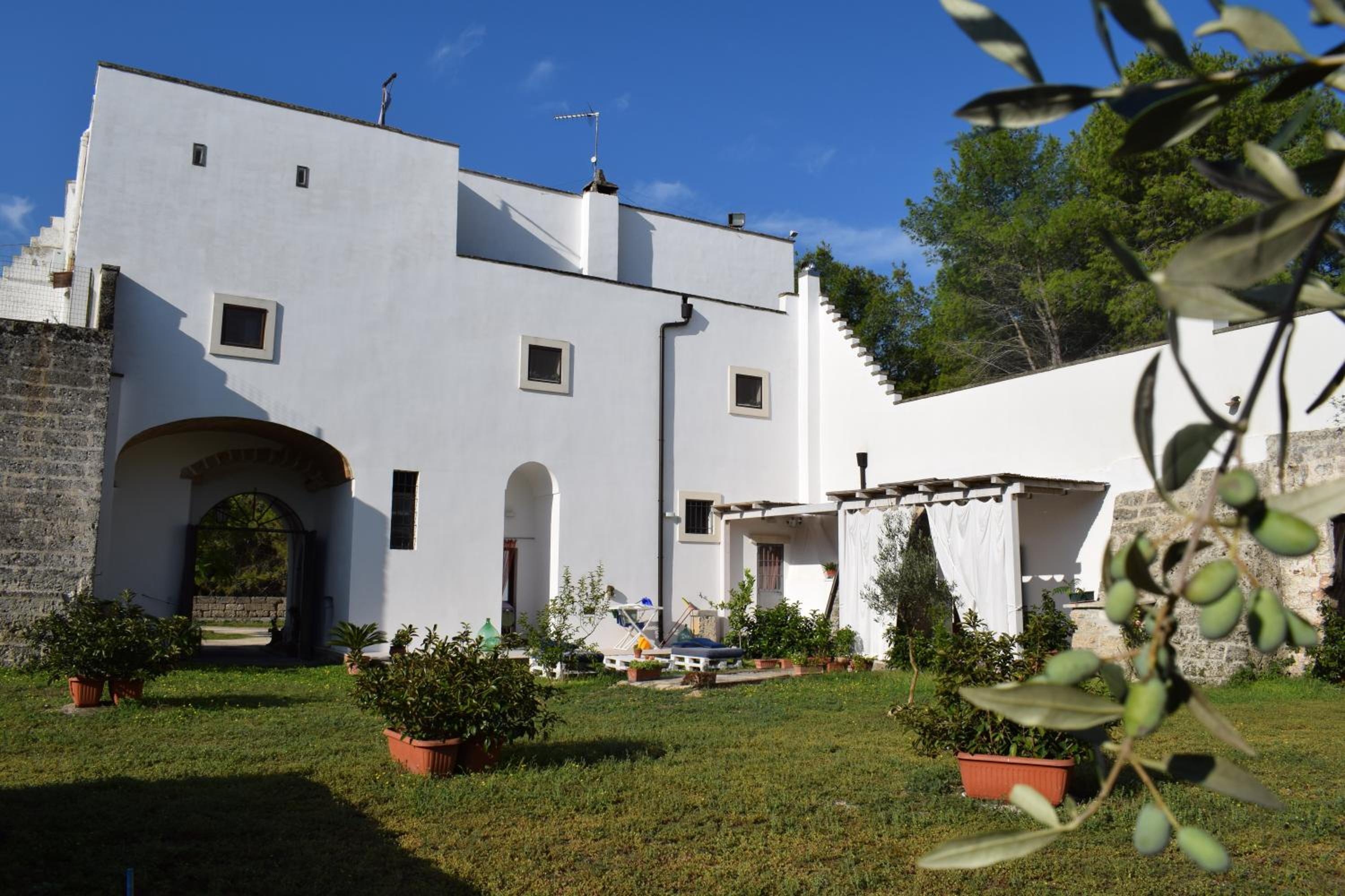 Photo 43