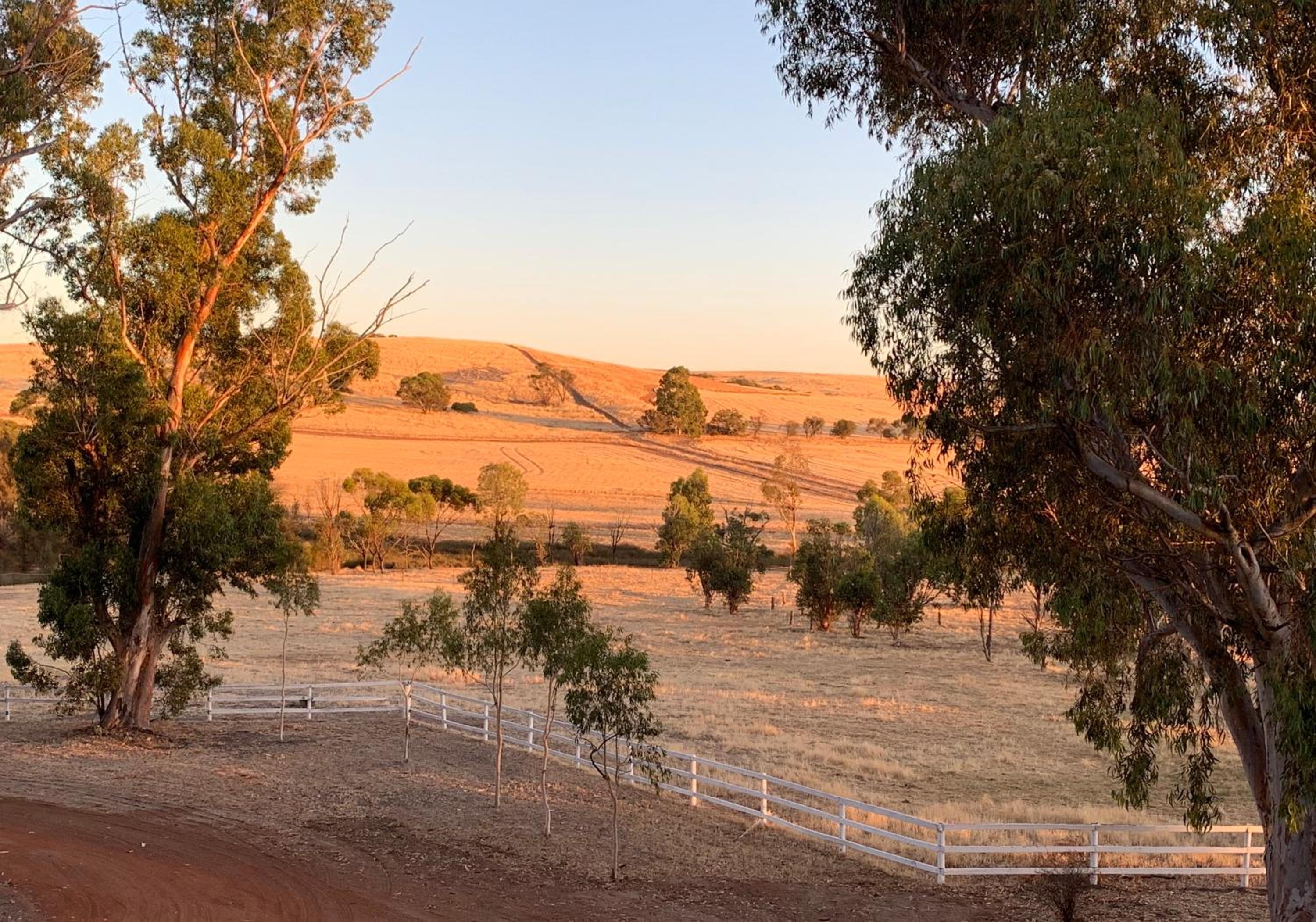 Dempster Cottage view 4