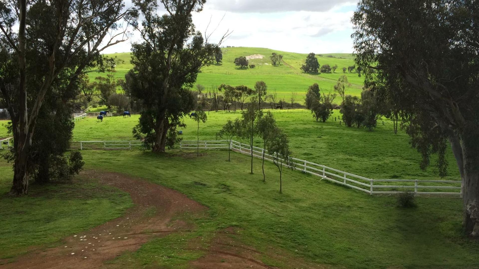 Dempster Cottage view 3
