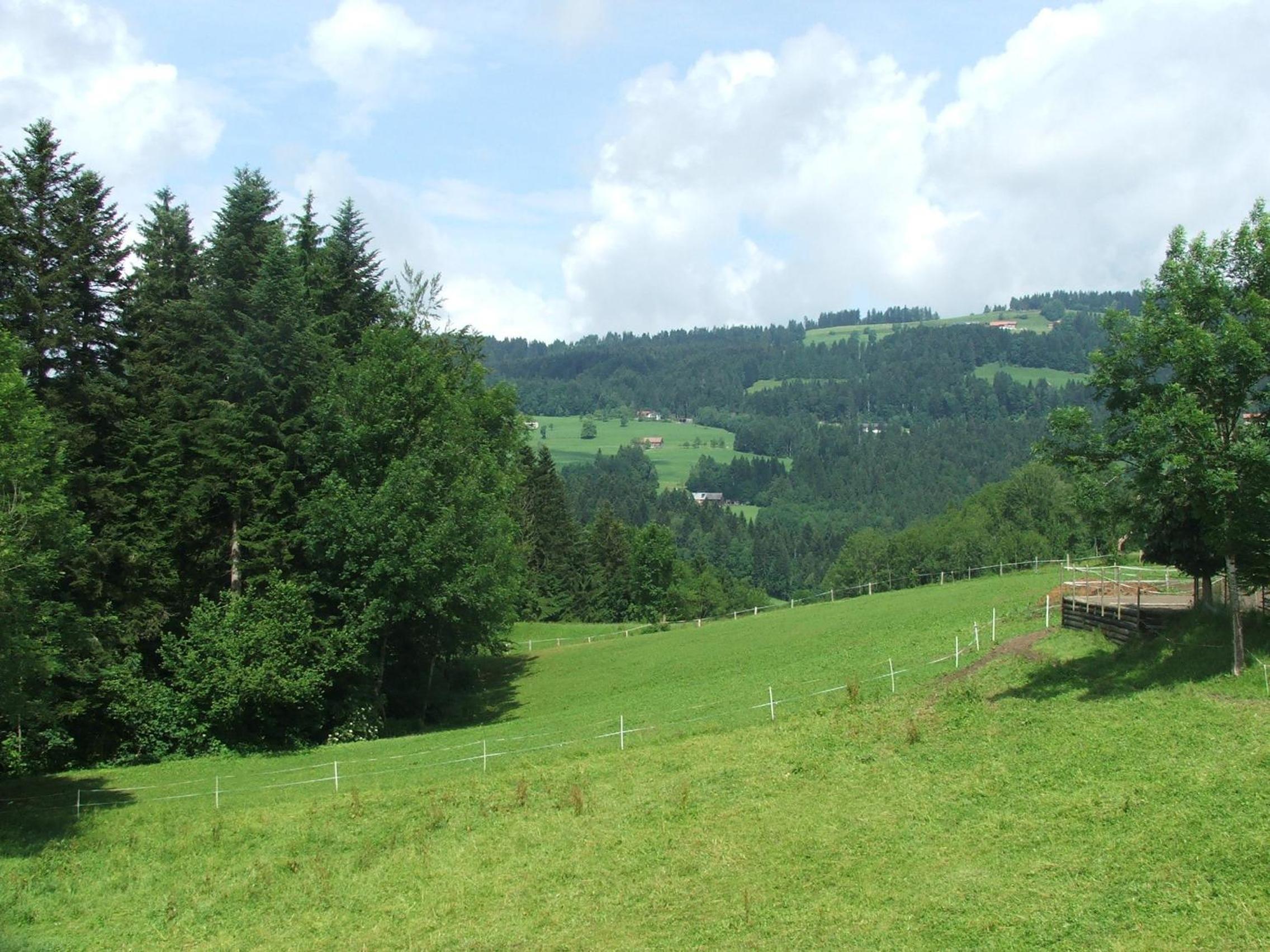Pension Jägerheim