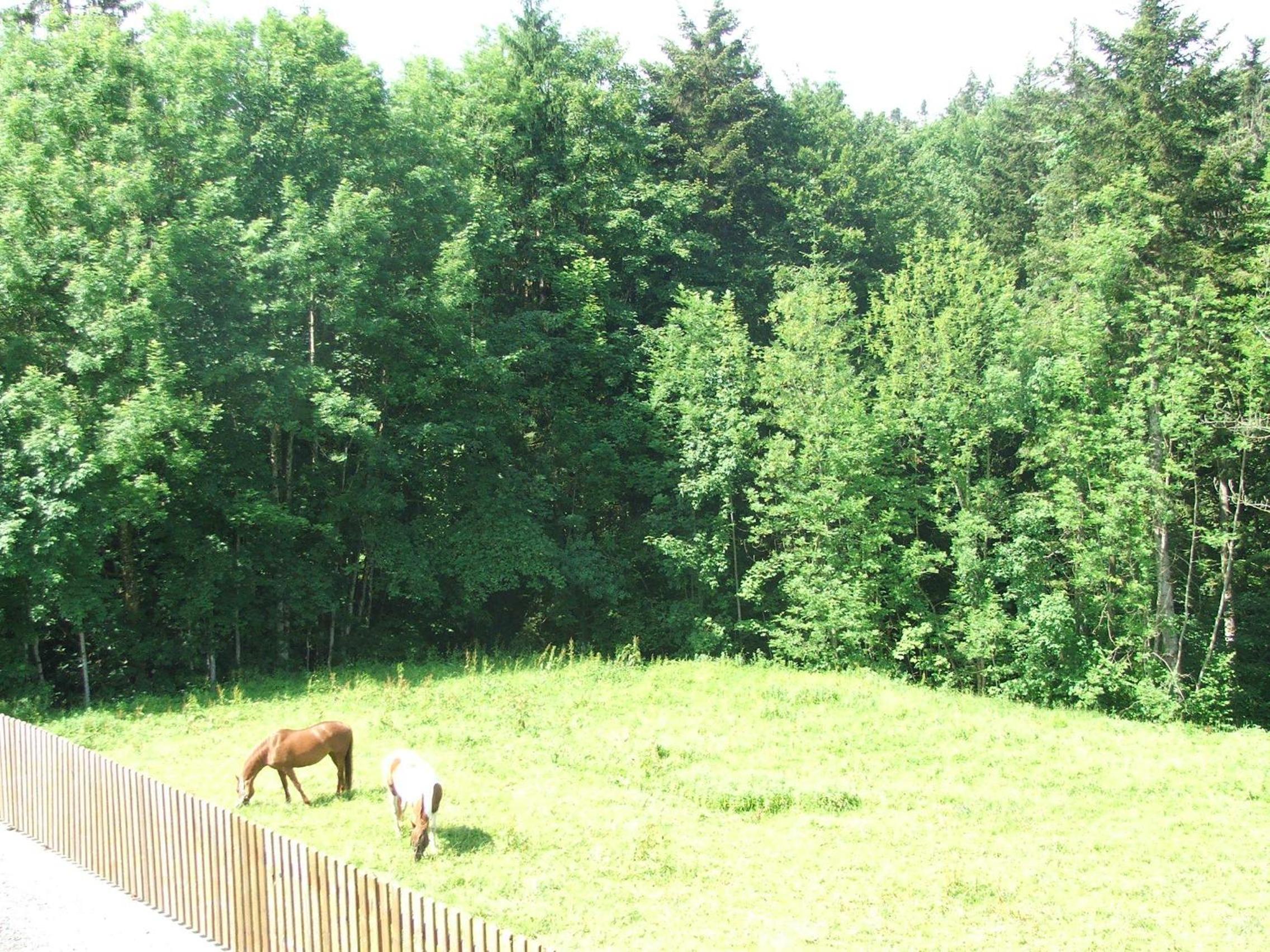 Pension Jägerheim