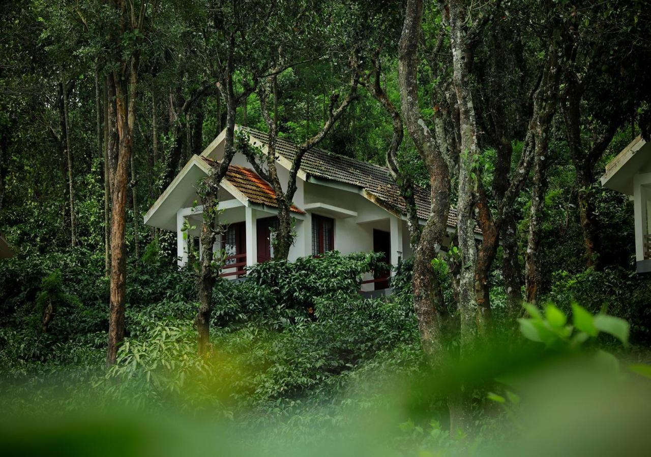 Dhanagiri Homestay Wayanad view 3