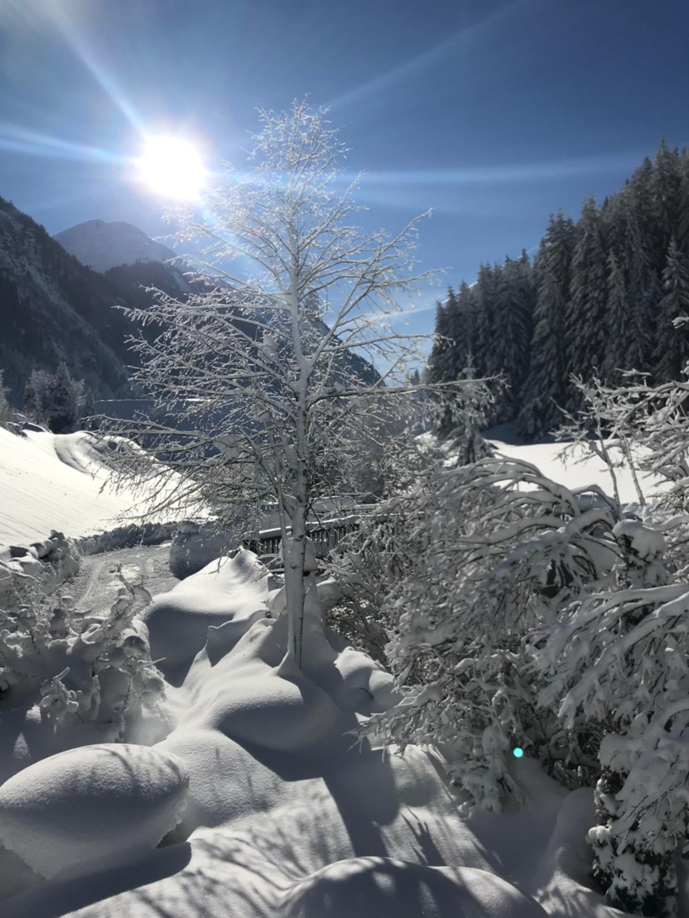 AlpinDesign Kaunertal