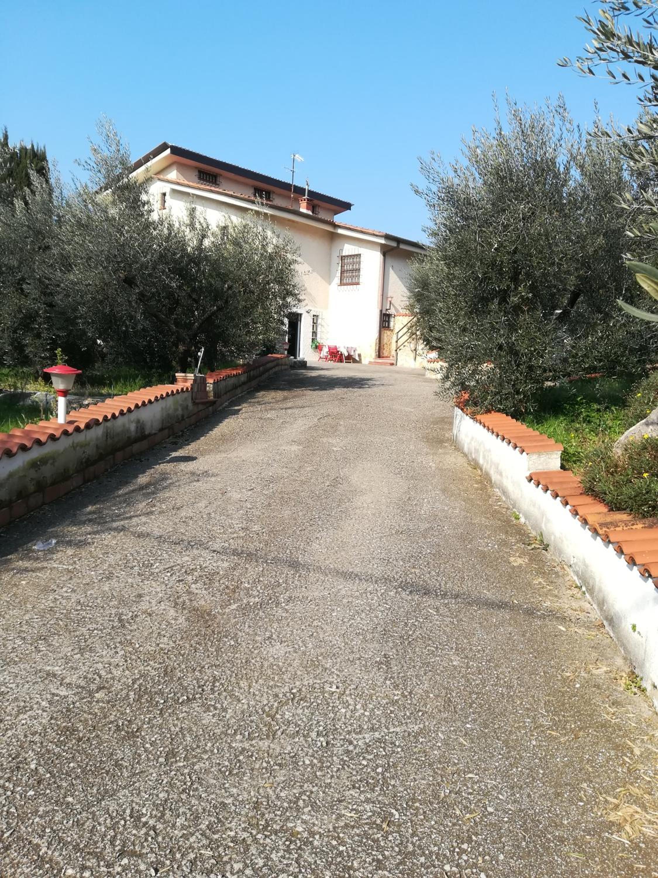 Casa fra gli ulivi di Giuseppe view 3