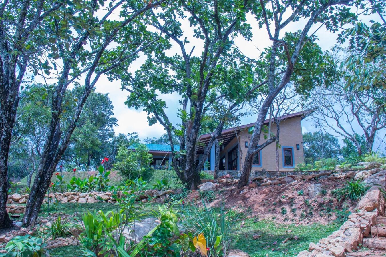 Windy Hills Glamping