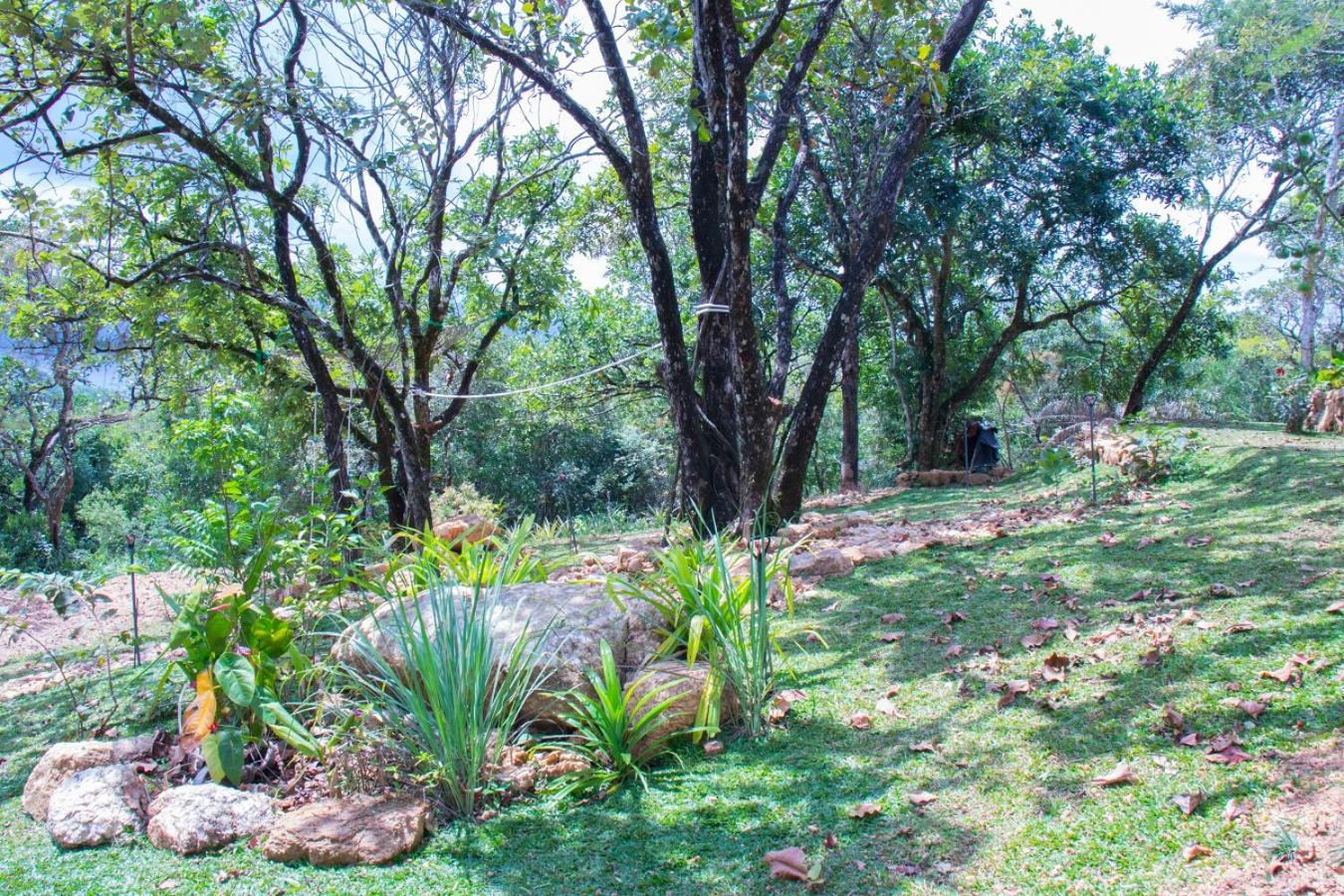 Windy Hills Glamping
