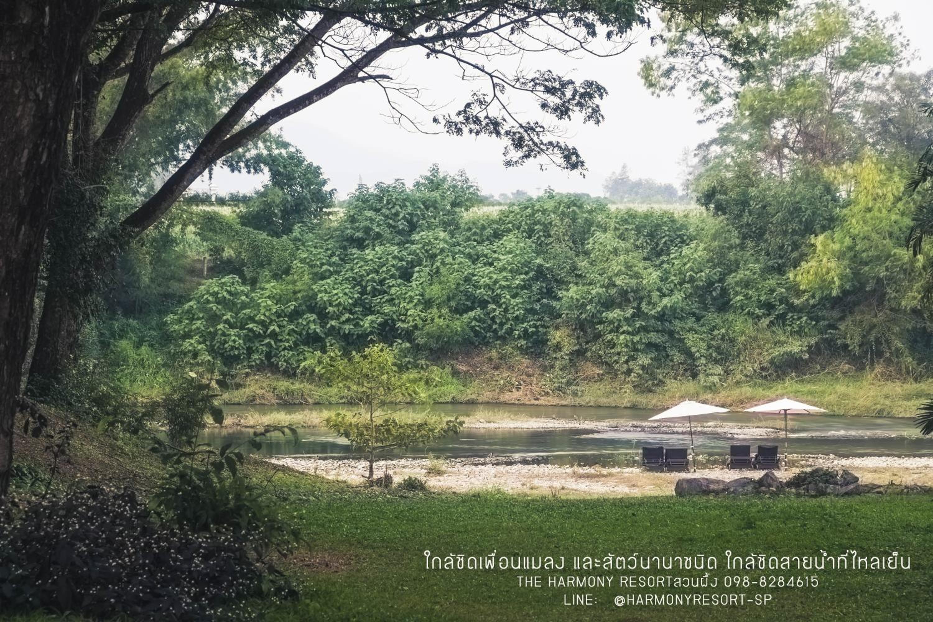 The Harmony Resort