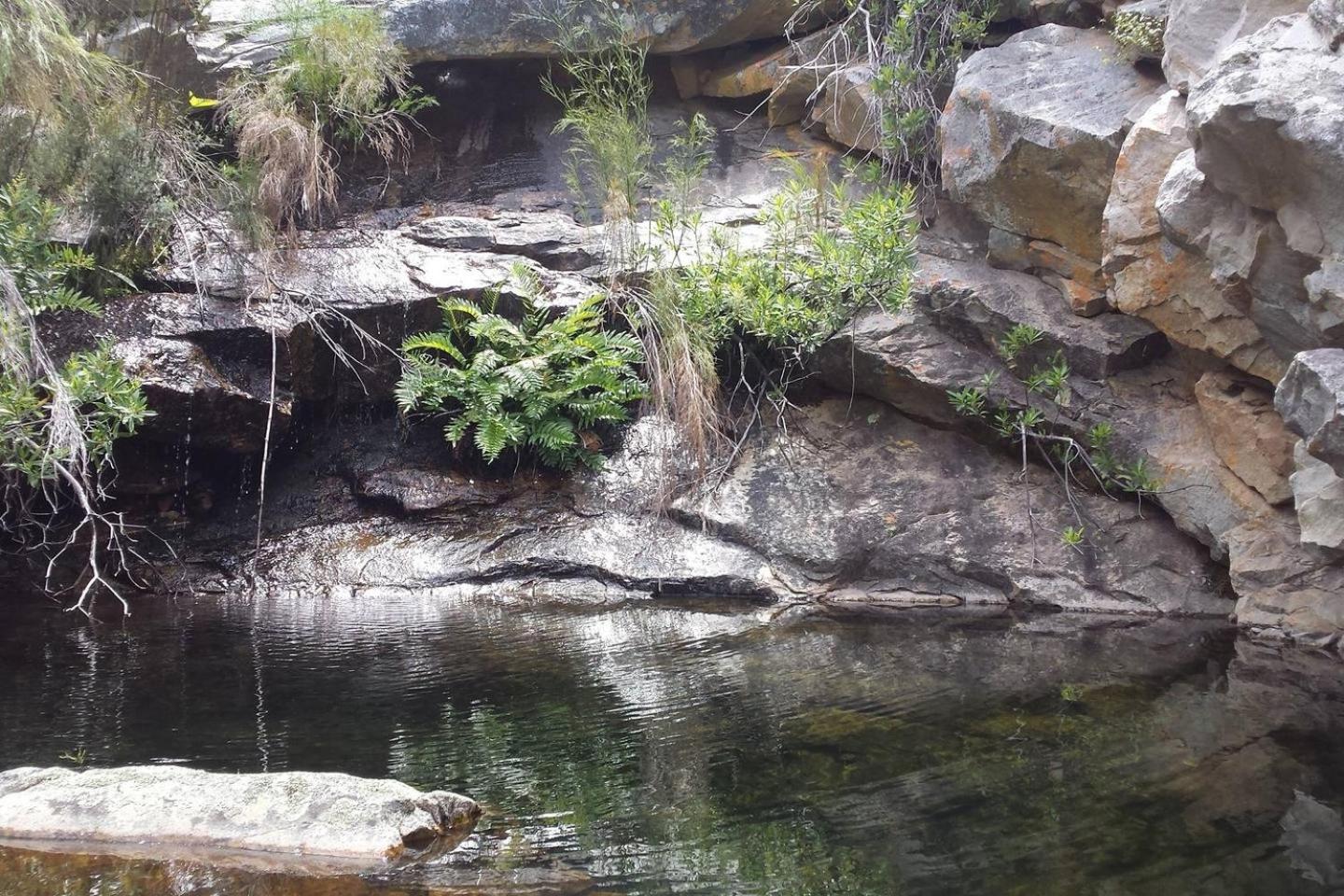 Photo 21