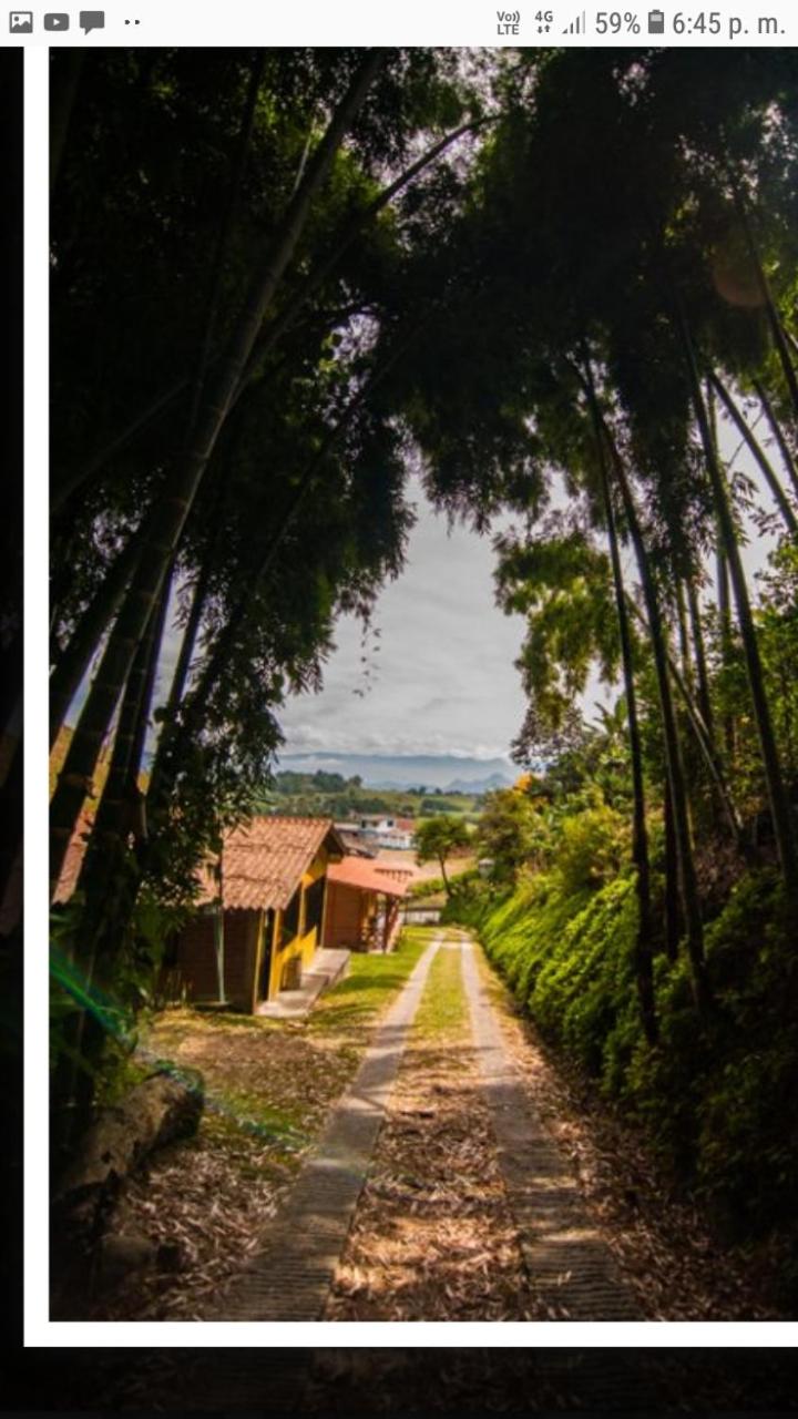 Alojamiento Campestre Cabañas Mirador Ingrumá Riosucio Caldas