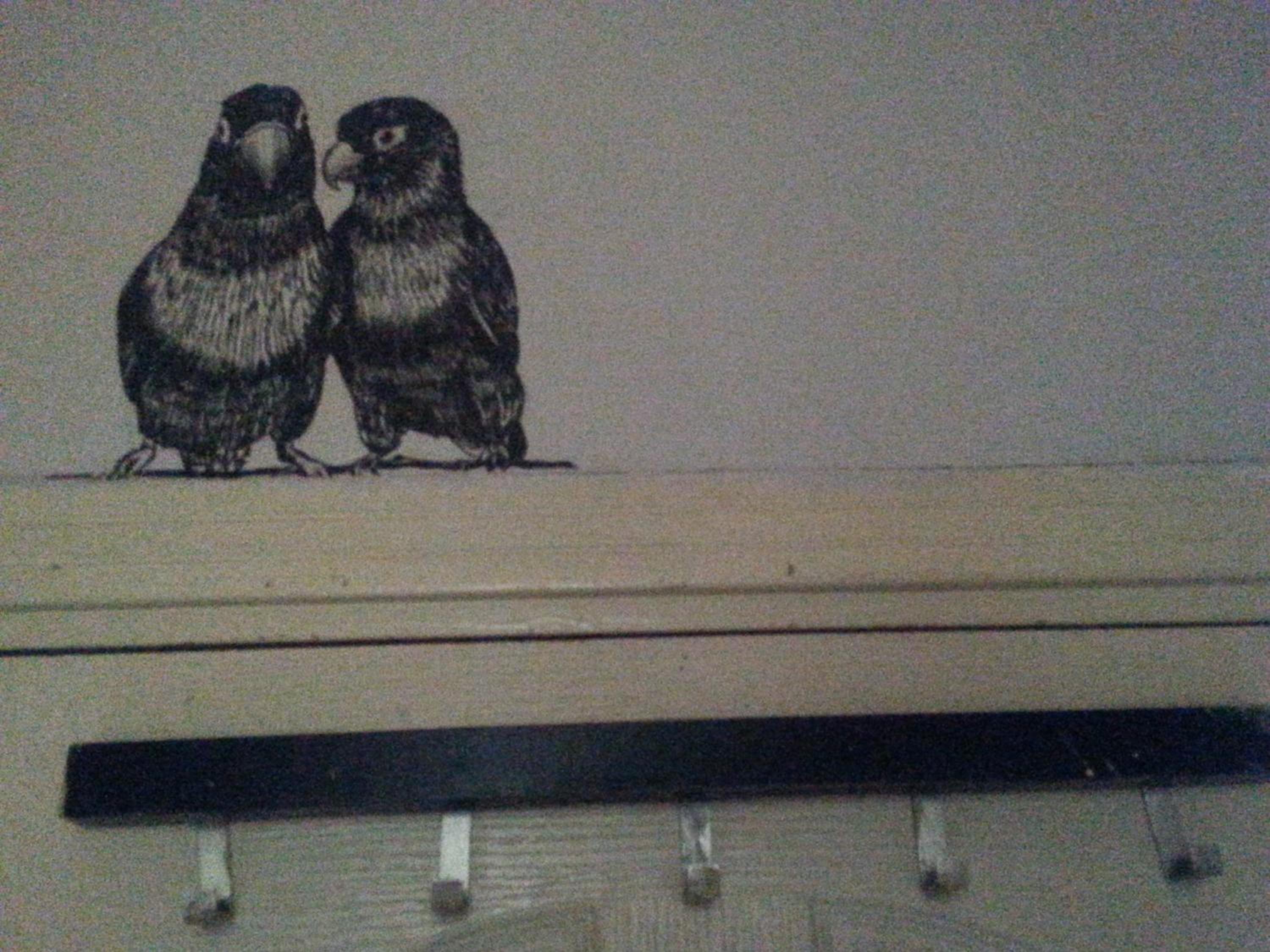 TAXİM YURDU - Image 26