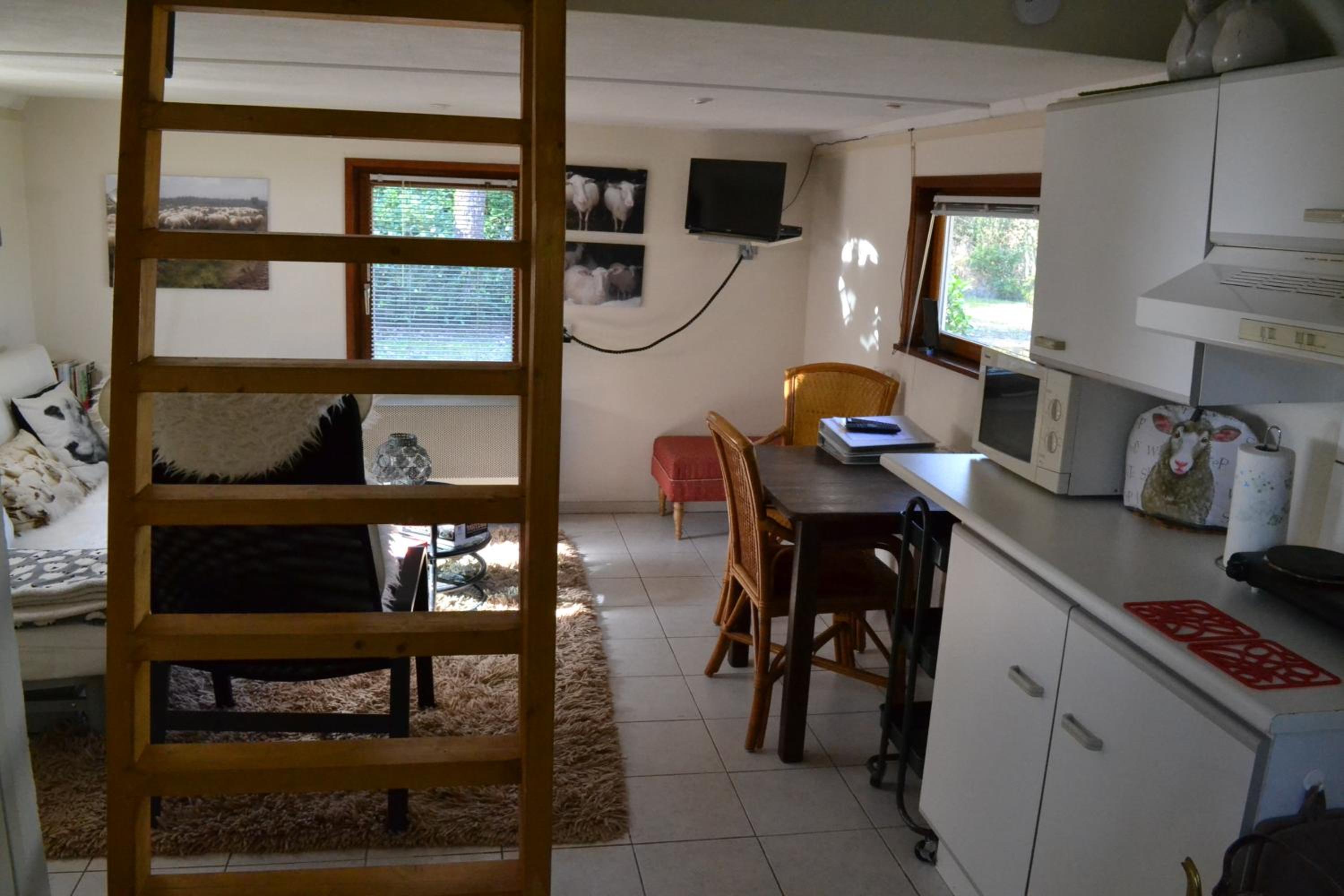 Photo 23