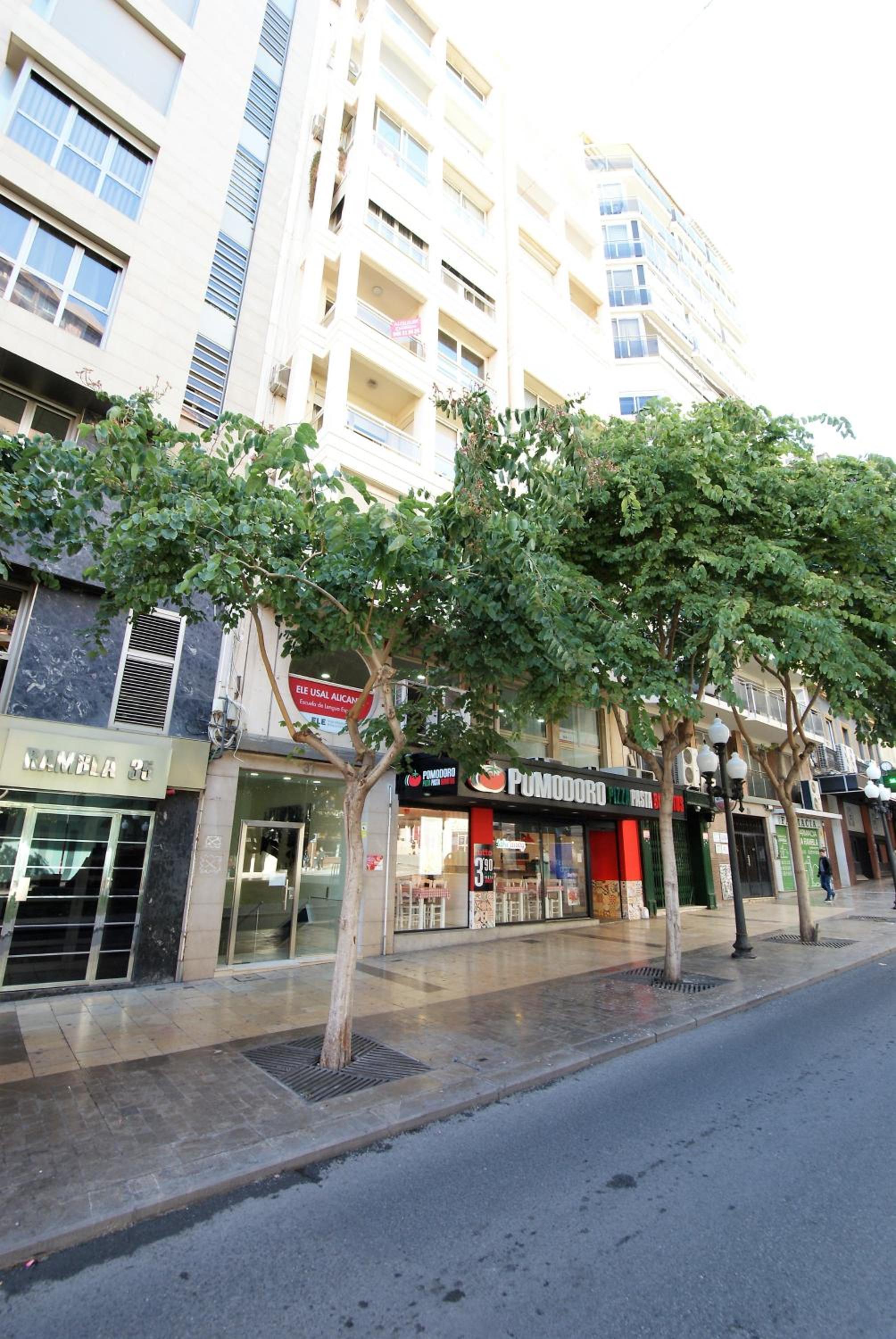Lujoso y espacioso piso en el corazón de Alicante con hidromasaje view 5