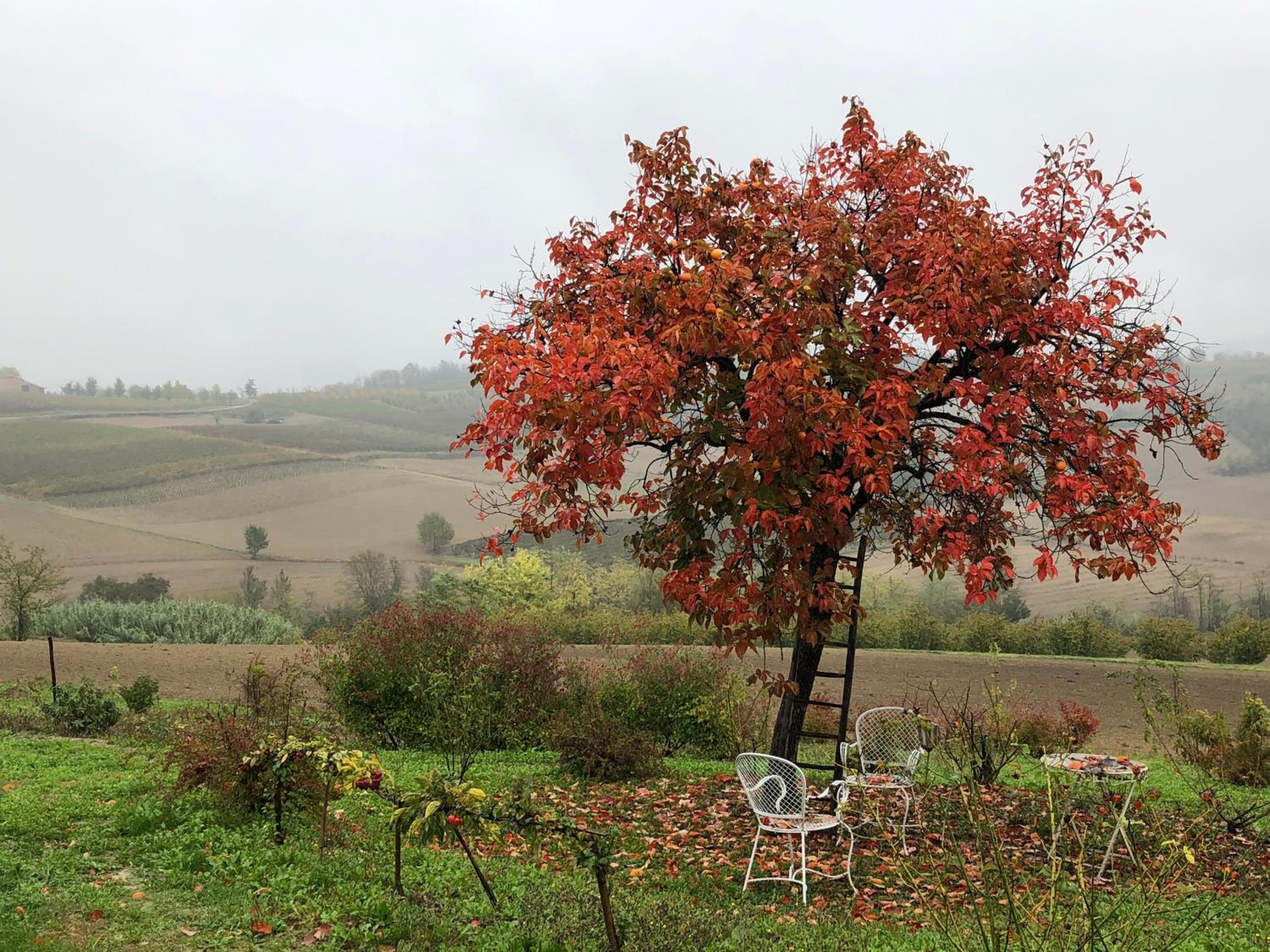 Cascina Vicentini