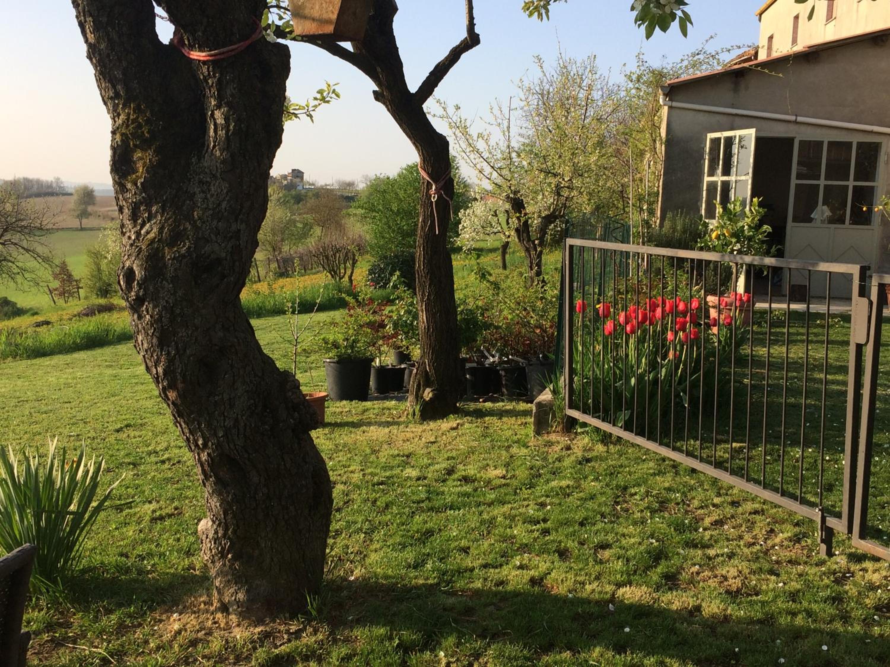 Cascina Vicentini